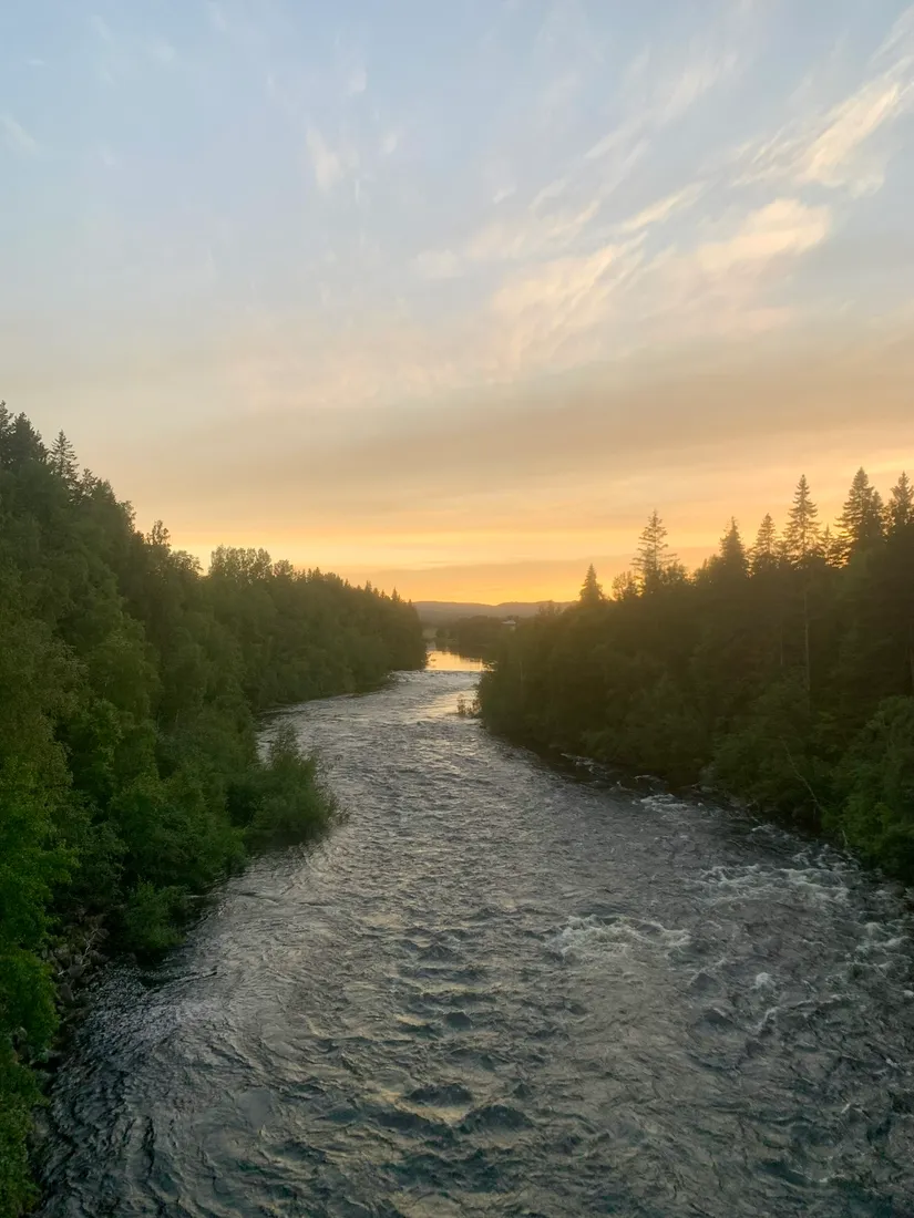 Gård/Skog, Fränstavägen 211, Fränsta, Ånge