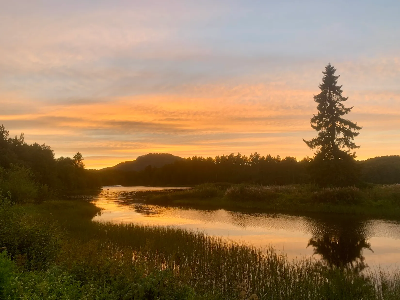 Gård/Skog, Fränstavägen 211, Fränsta, Ånge