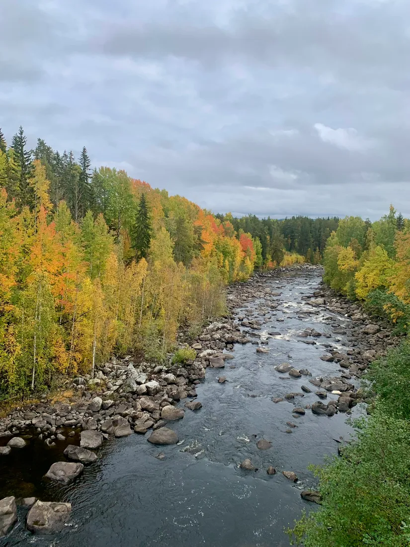 Gård/Skog, Fränstavägen 211, Fränsta, Ånge