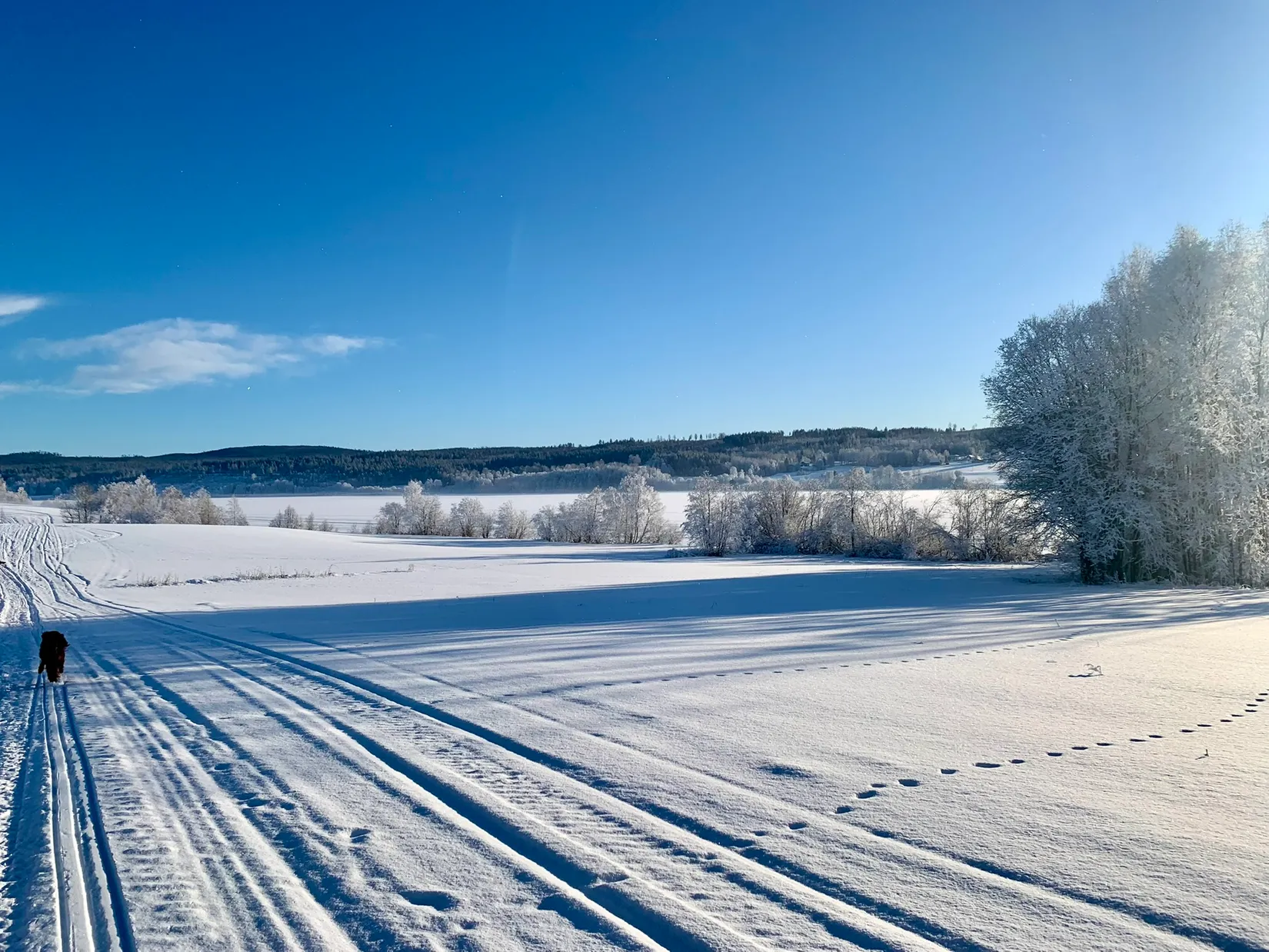 Gård/Skog, Fränstavägen 211, Fränsta, Ånge