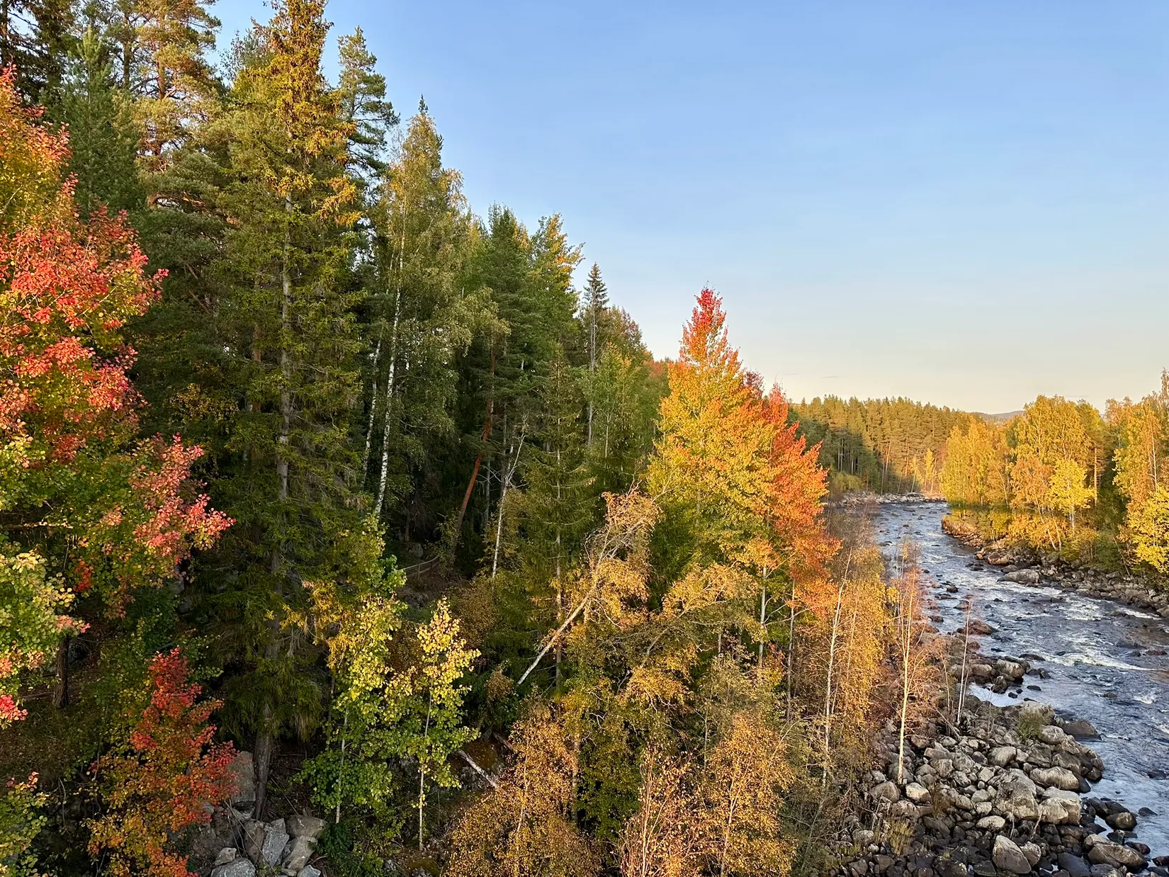 Gård/Skog, Fränstavägen 211, Fränsta, Ånge