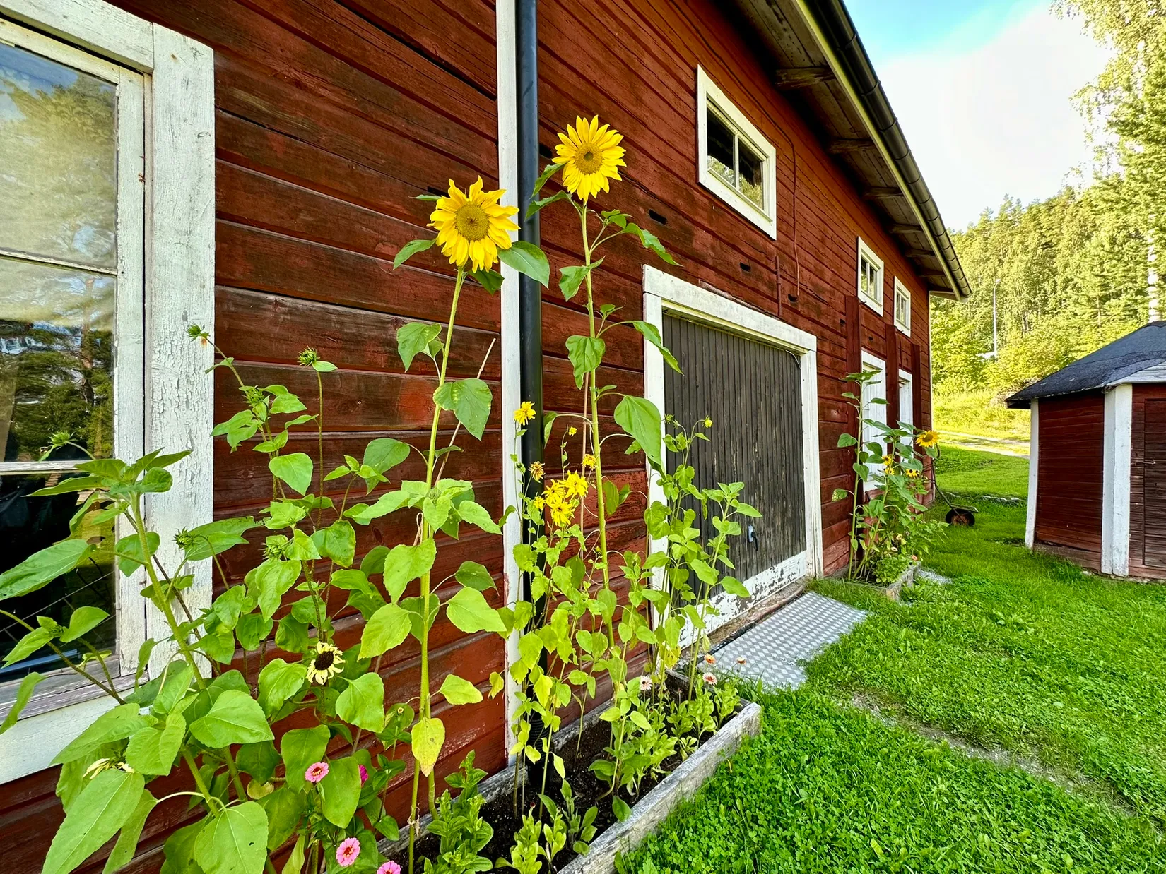 Gård/Skog, Fränstavägen 211, Fränsta, Ånge