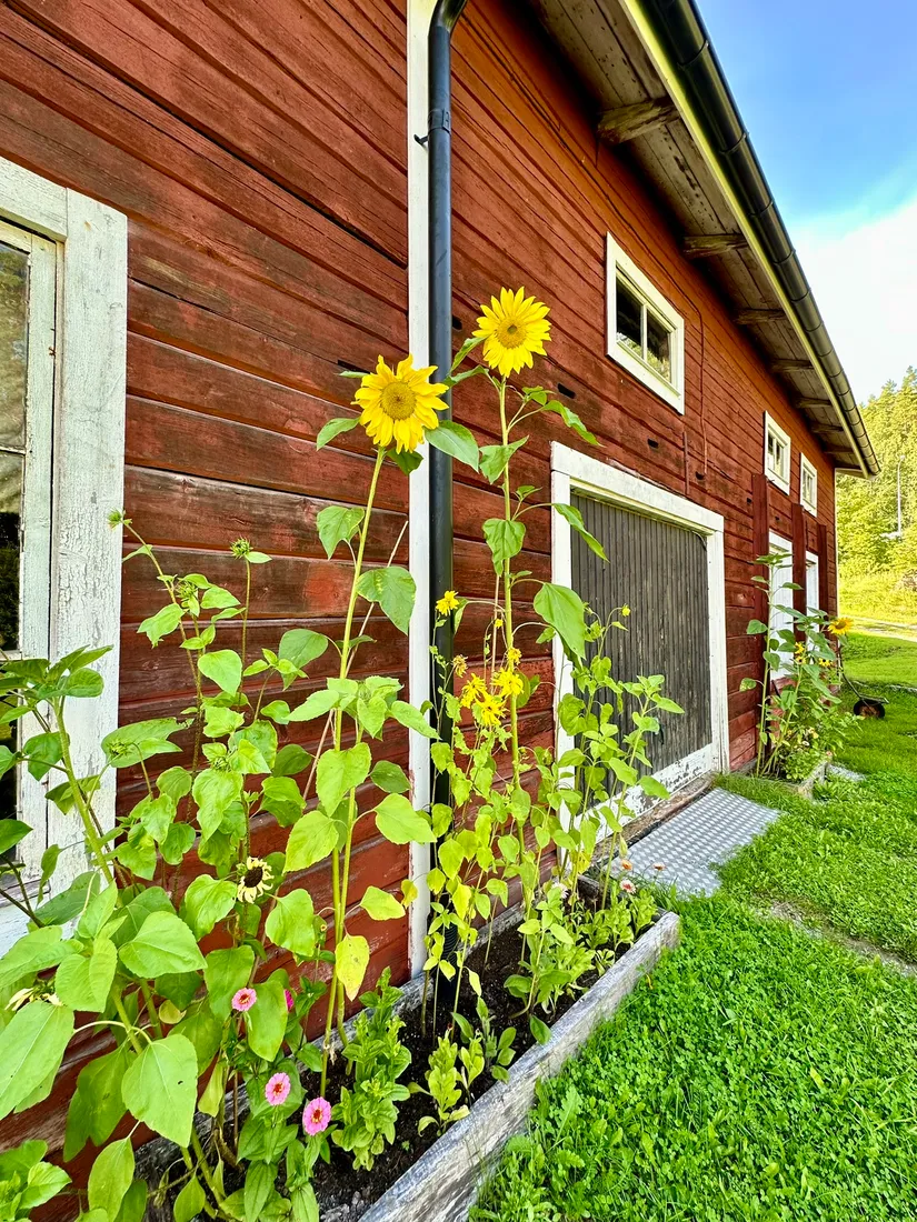 Gård/Skog, Fränstavägen 211, Fränsta, Ånge