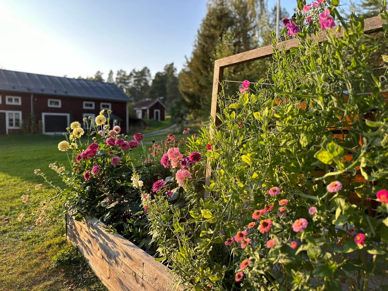 Gård/Skog, Fränstavägen 211, Fränsta, Ånge