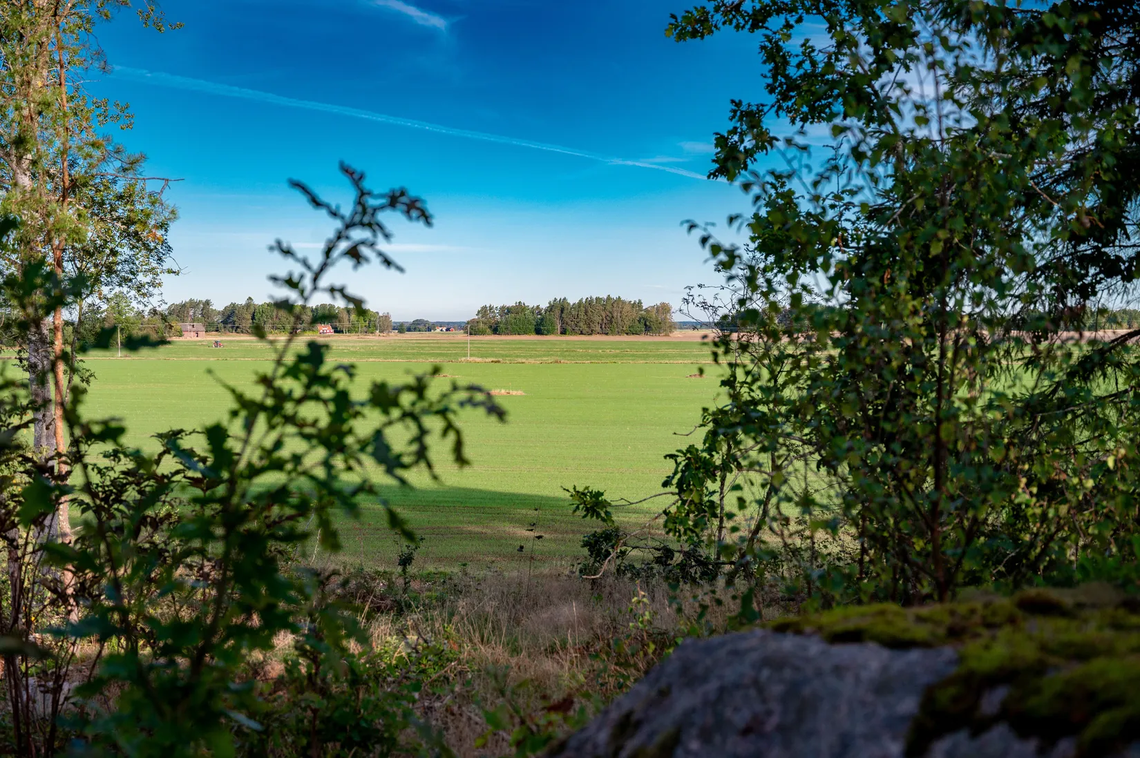Villa, Särestad Rudberga 13, Särestad, Grästorp