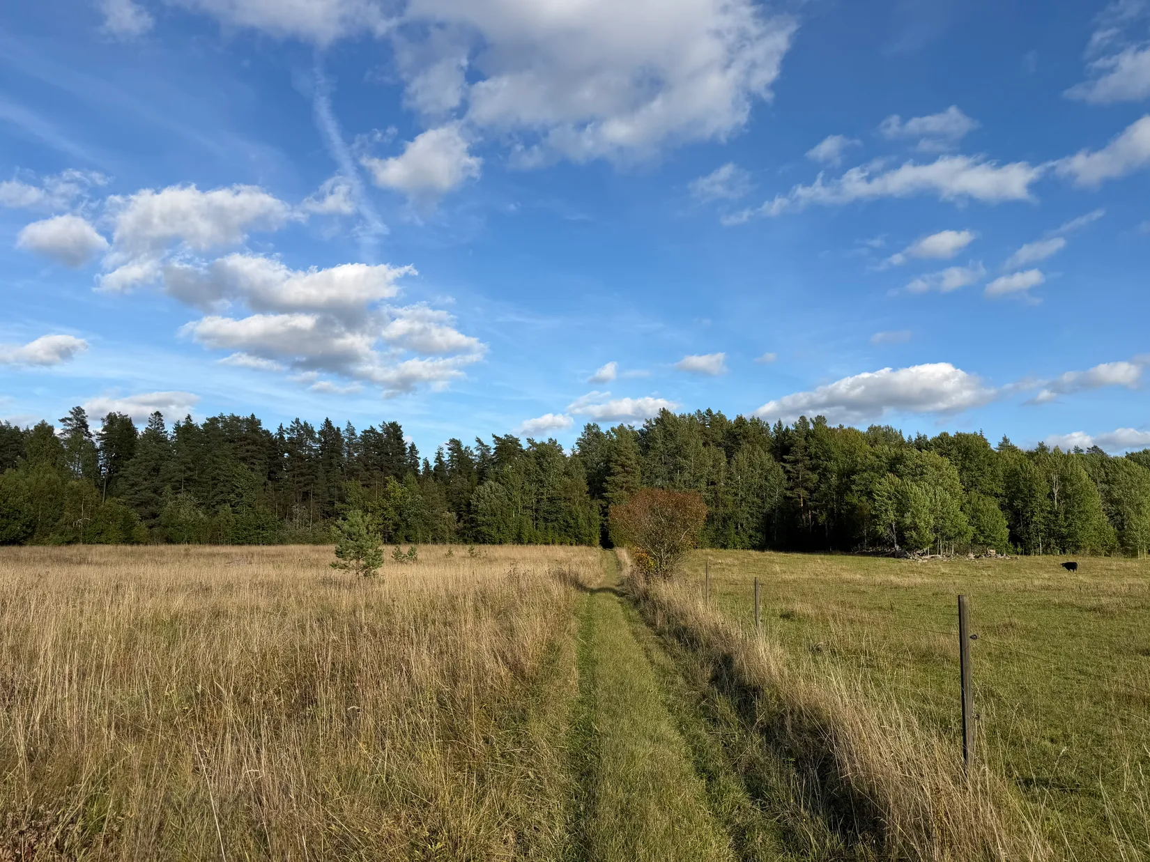 Tomt, Norrbyggebyvägen 256, Norrbyggeby, Norrtälje