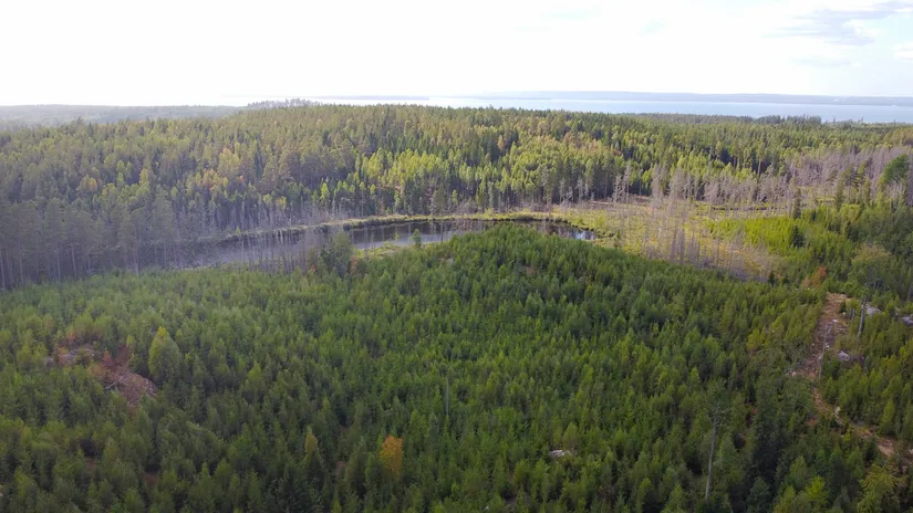 Tomt, Hulta 1:39, Närke, Askersund
