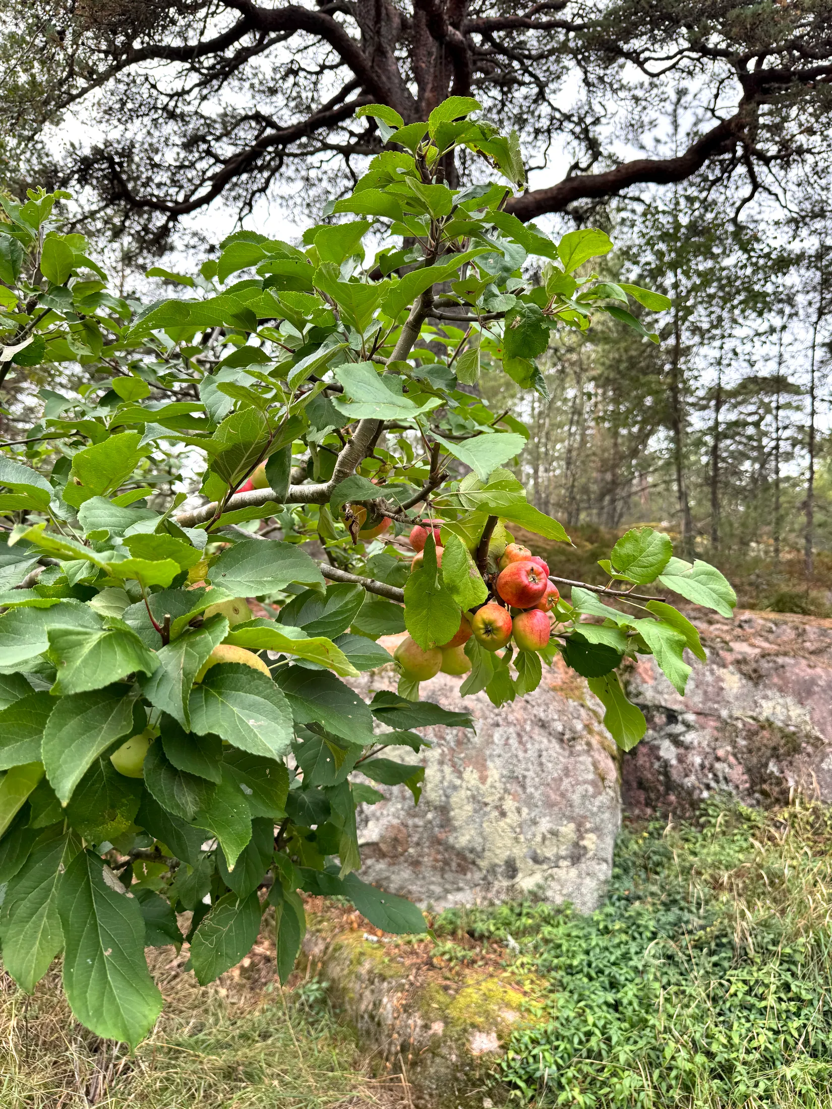 Villa, Snuggavägen 15, Sollentuna Väsjön, Sollentuna