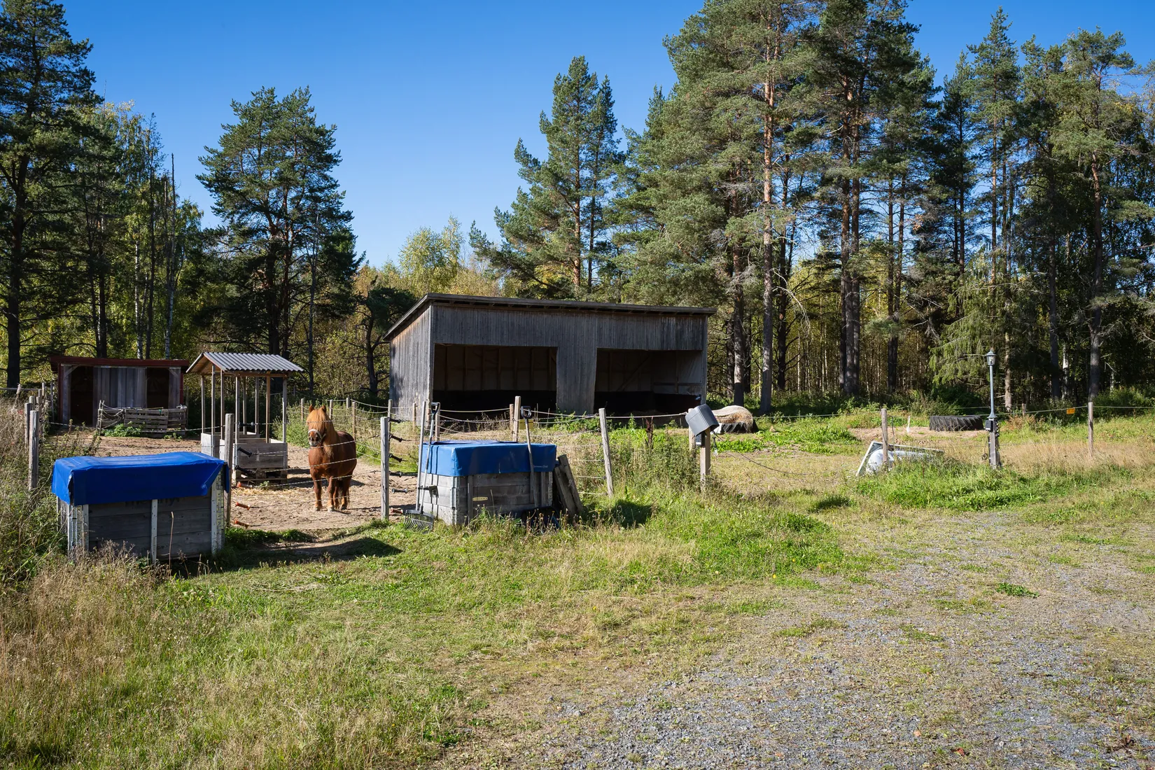 Gård/Skog, Kvarnmyrvägen 7, Skellefteå