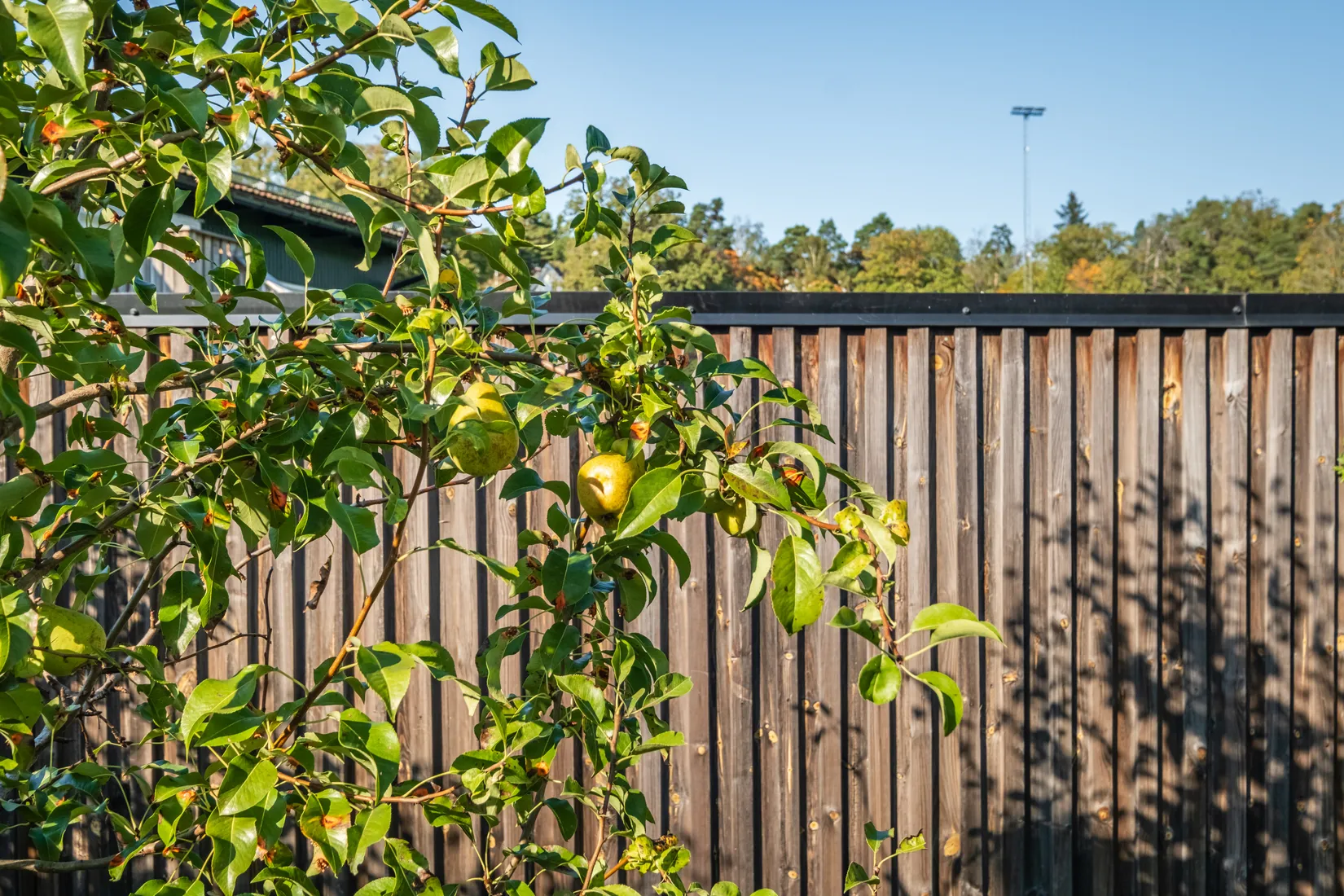 Radhus, Ekdungevägen 15, Skuru, Nacka