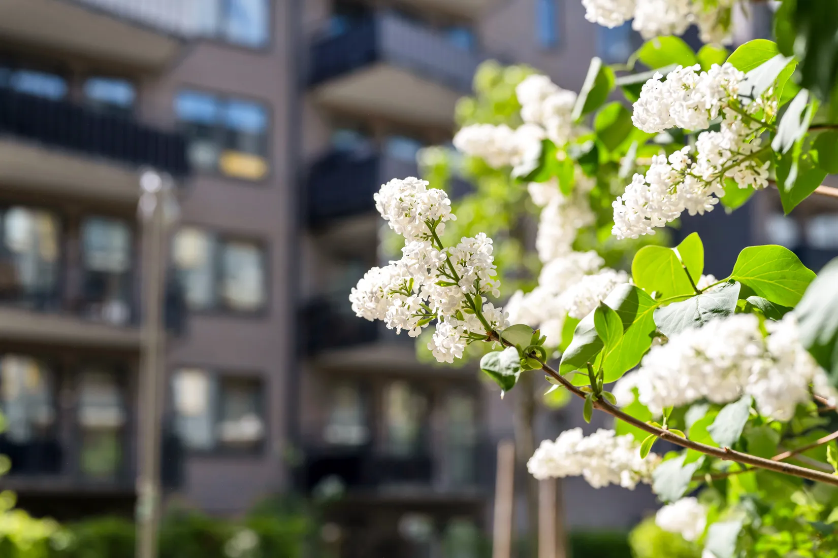 Bostadsrätt, Orgelgatan 2, Kapellgärdet, Uppsala