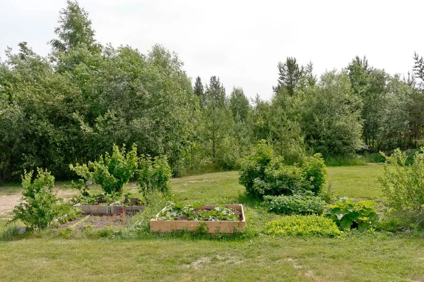 Bostadsrätt, Skogsfruvägen 11A, Tomtebo, Umeå