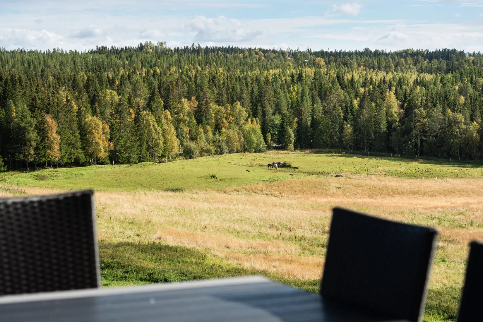 Gård/Skog, Östbacken 735, Alsen, Krokom