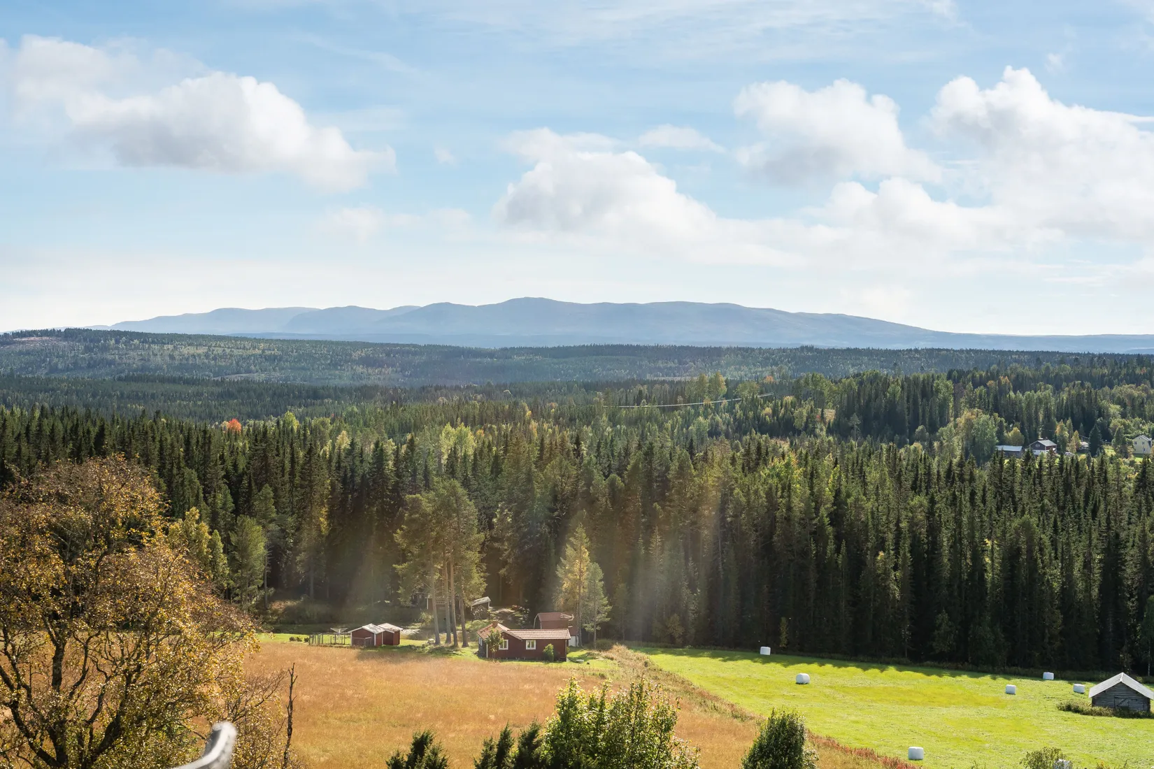 Gård/Skog, Östbacken 735, Alsen, Krokom