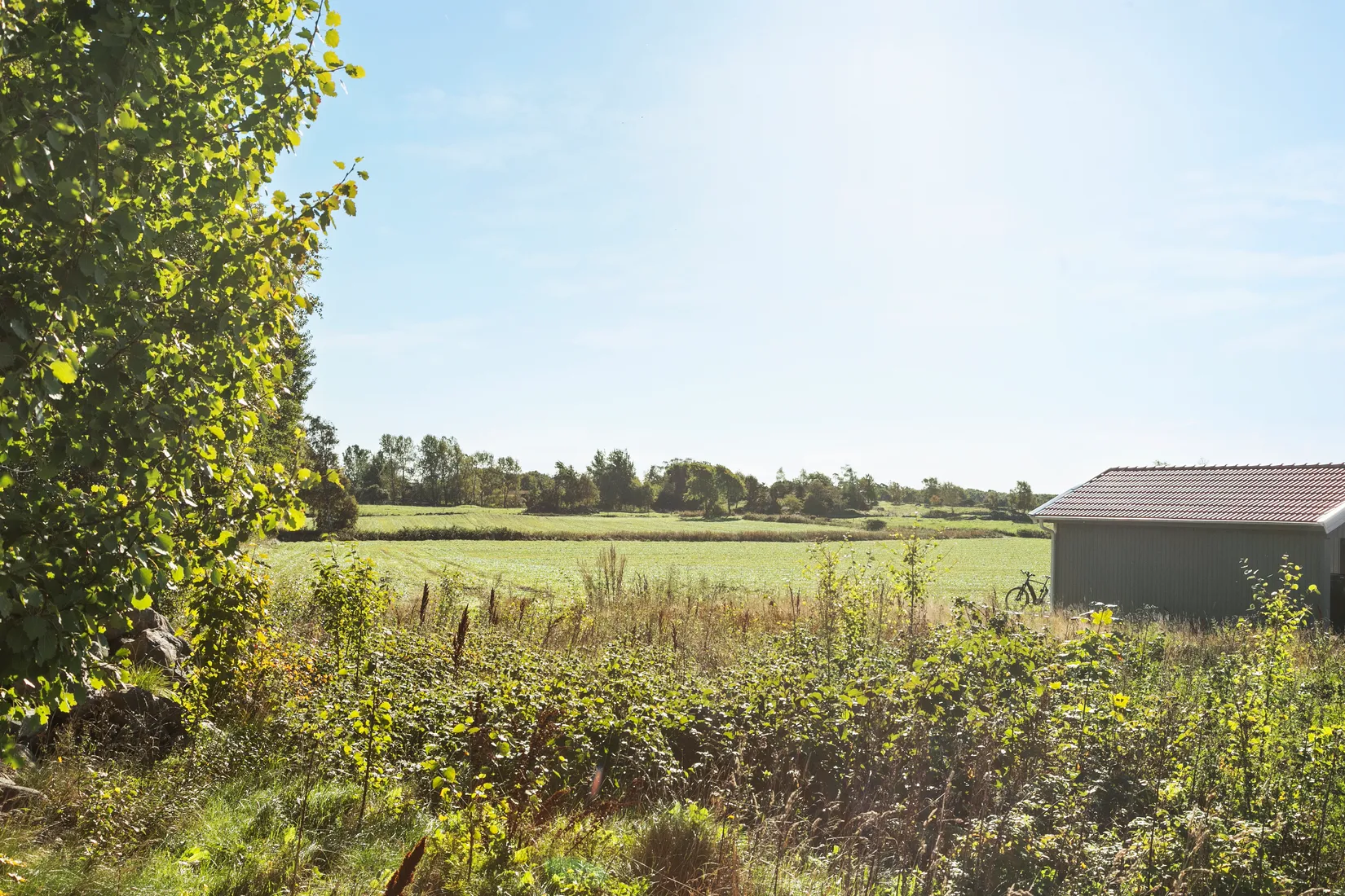 Tomt, Björkedalsvägen 16, Himle, Varberg