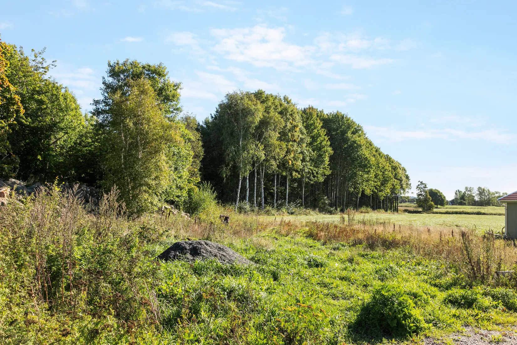 Tomt, Björkedalsvägen 16, Himle, Varberg