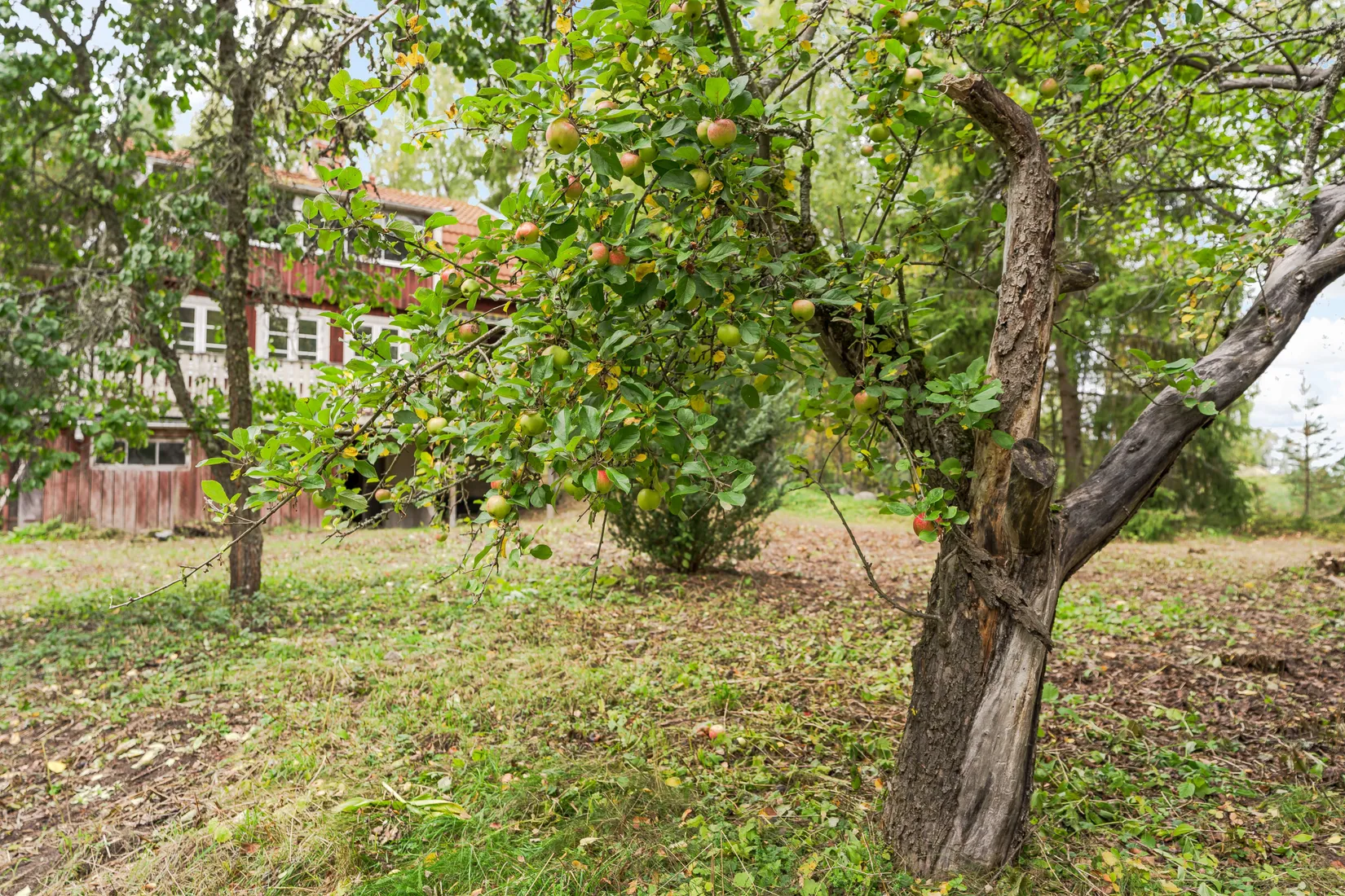 Villa, Husby 108, Vendel, Tierp
