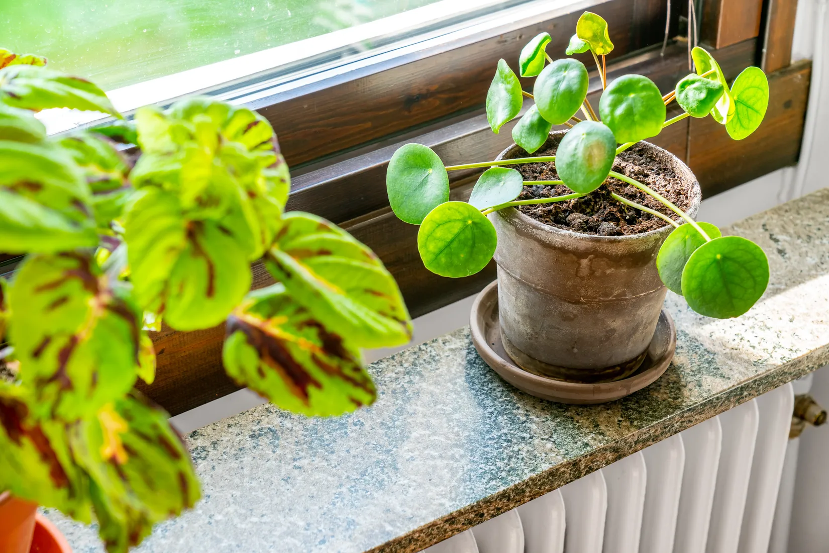 Bostadsrätt, Blommelundsgatan 3B, Haga, Norrköping