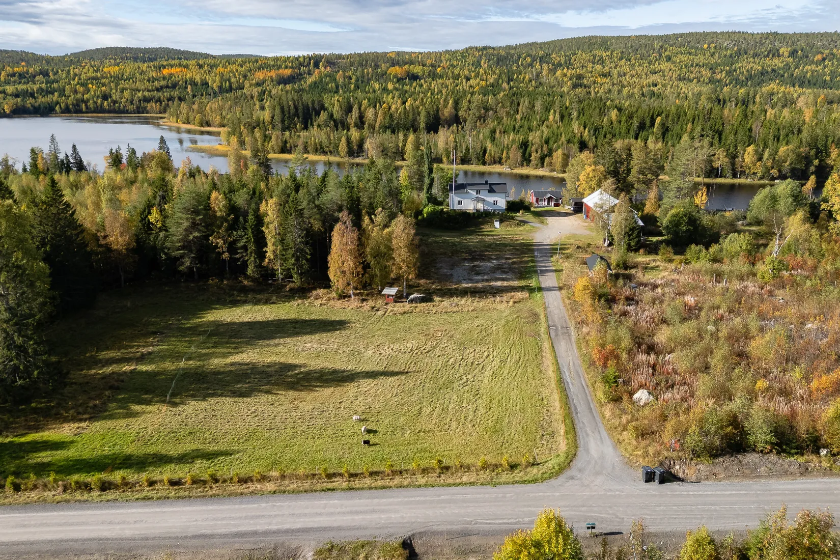 Gård/Skog, Stensviken 159, Aspnäs, Härnösand