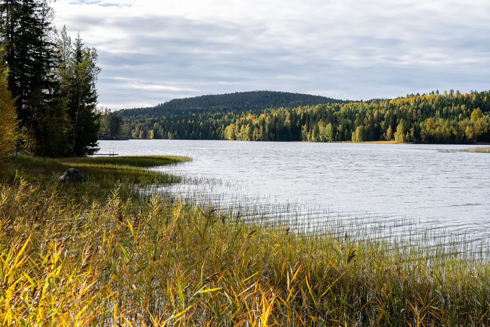 Gård/Skog, Stensviken 159, Aspnäs, Härnösand
