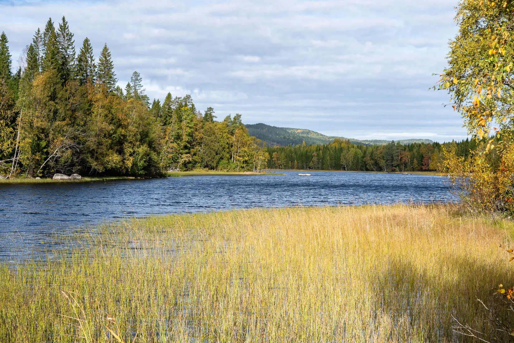 Gård/Skog, Stensviken 159, Aspnäs, Härnösand