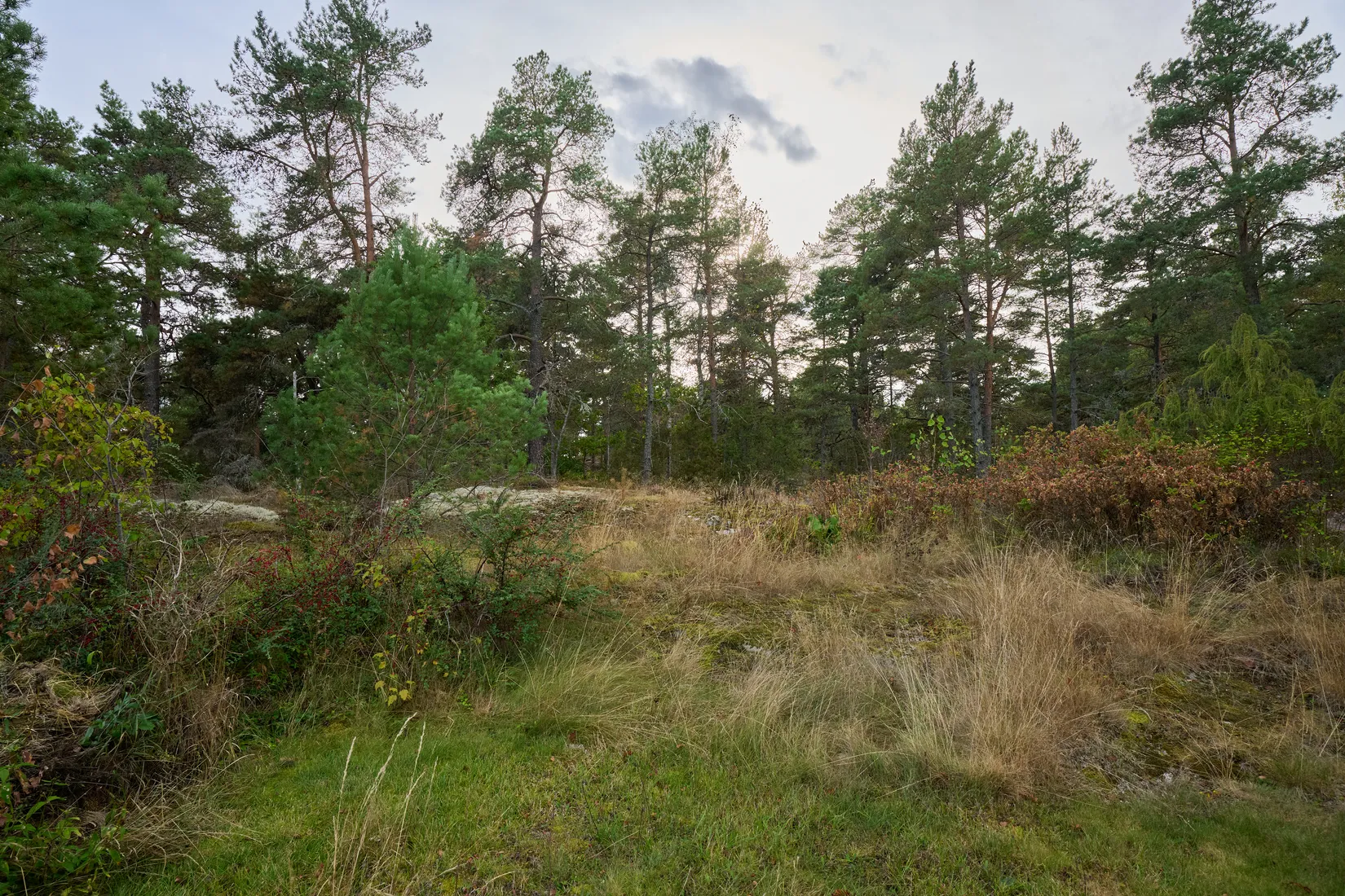 Radhus, Samtingsgatan 38K, Strängnäs