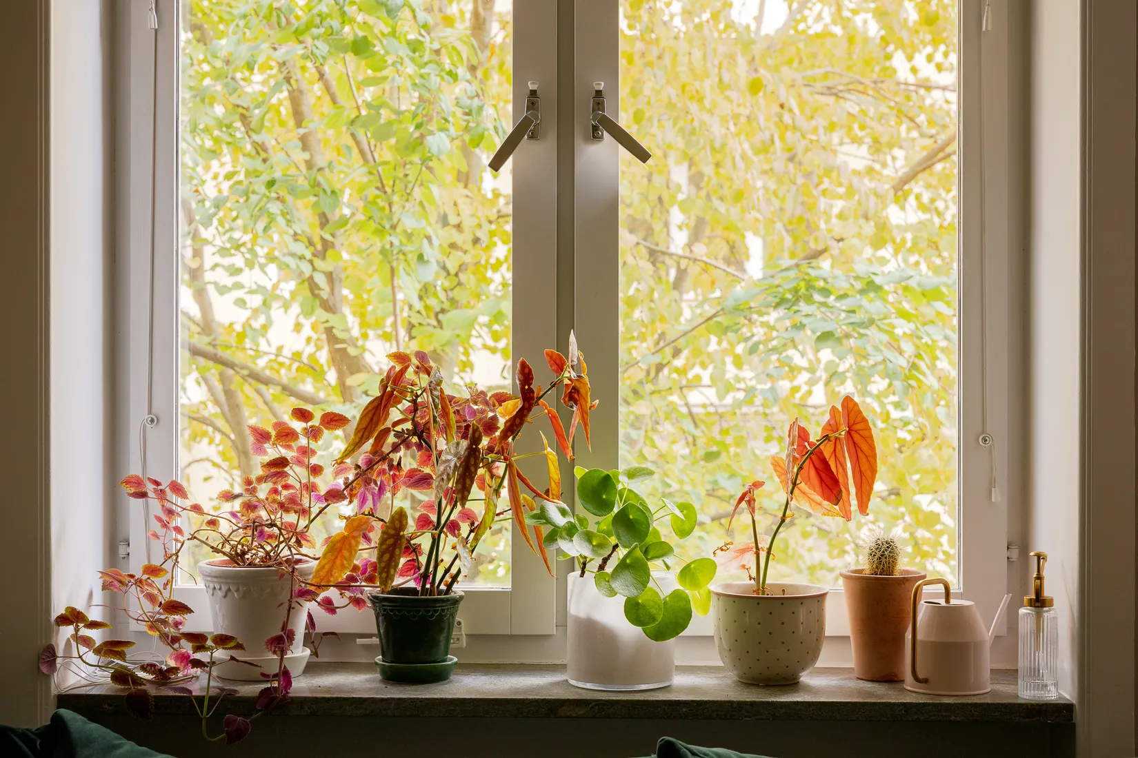 Bostadsrätt, Katarina Bangata 57, Södermalm Sofia, Stockholm