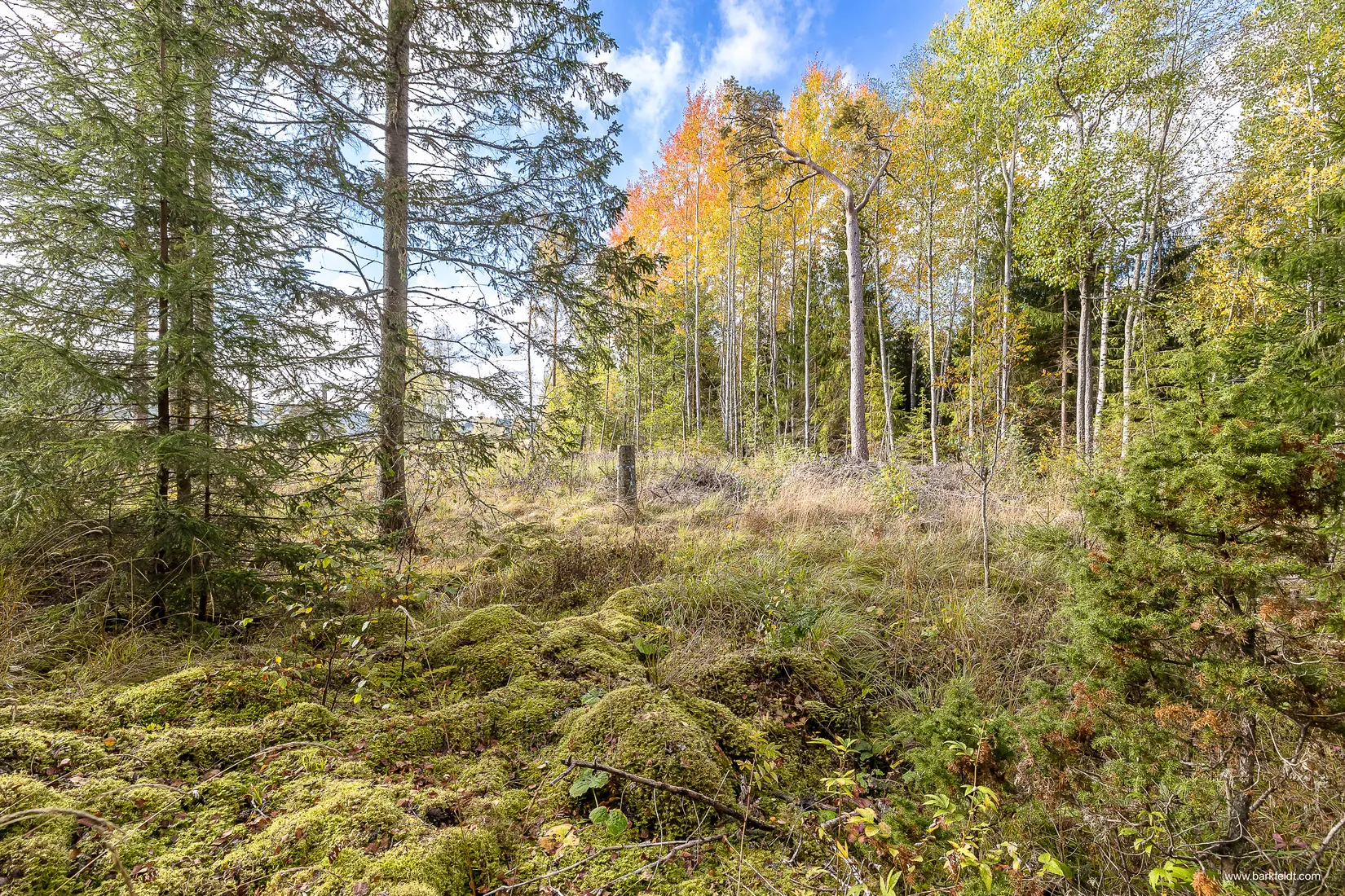 Fritidshus, Limuntorp 10, Kölinge, Uppsala