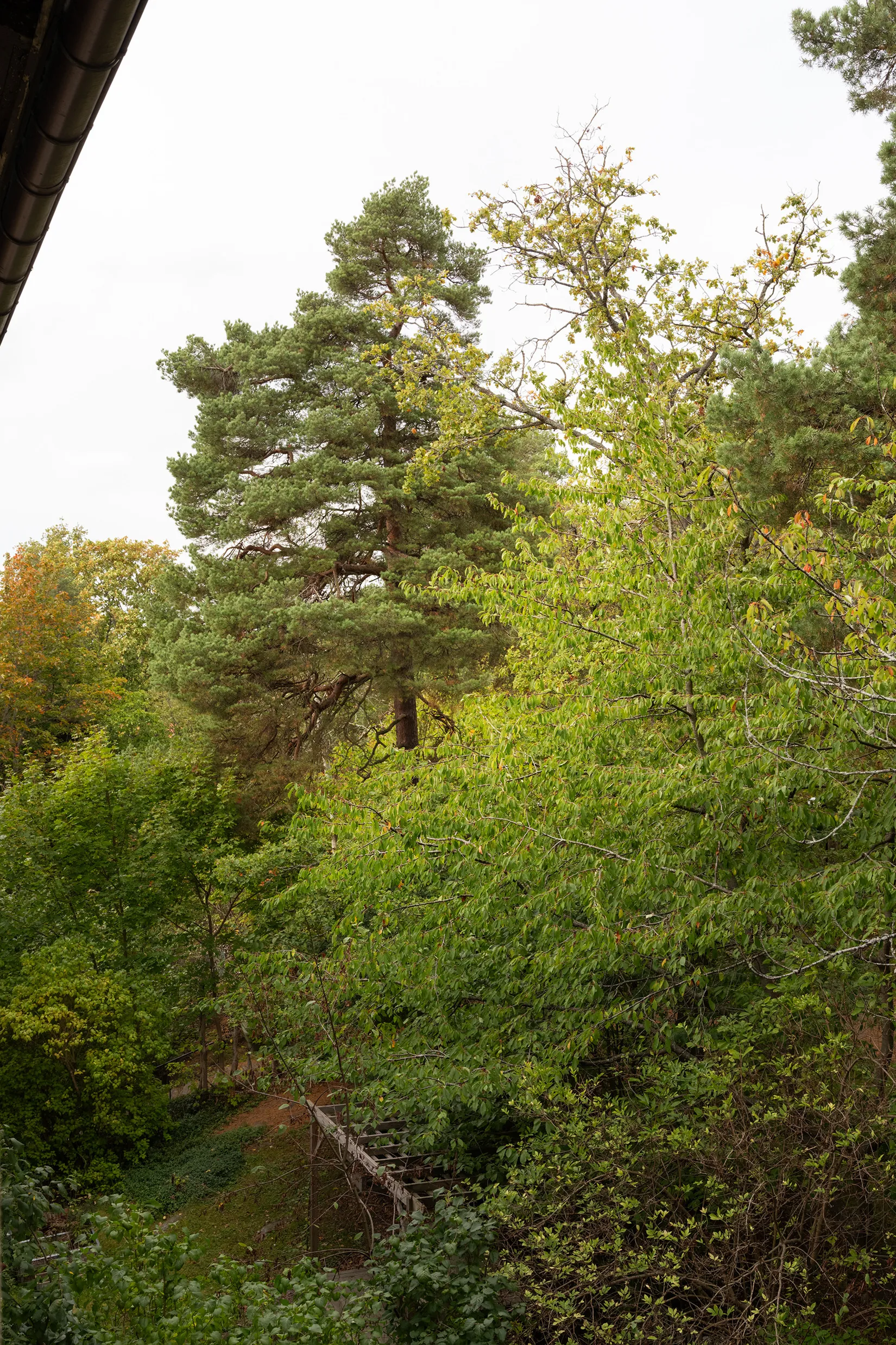 Bostadsrätt, Tranebergsvägen 52, Bromma - Traneberg, Stockholm