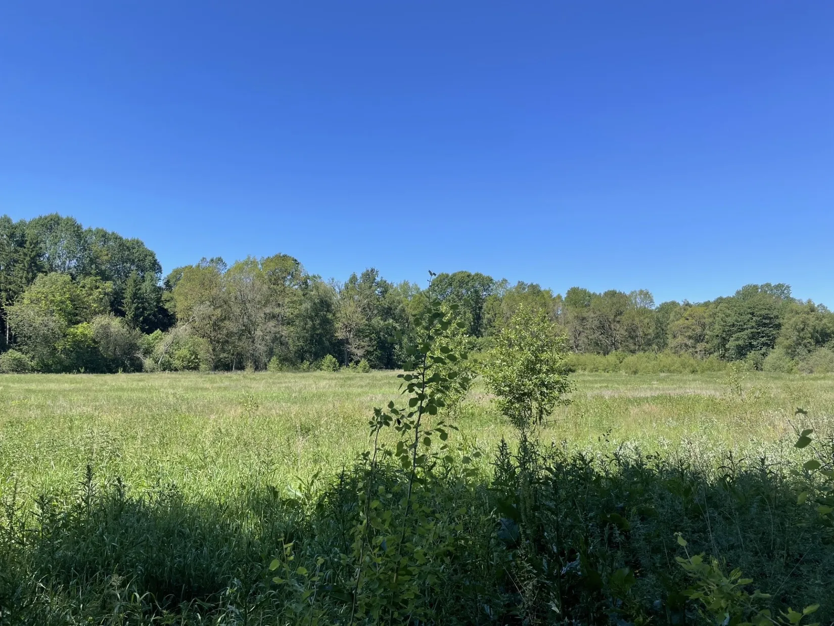 Gård/Skog, Länsmansgatan 23, Sösdala, Hässleholm