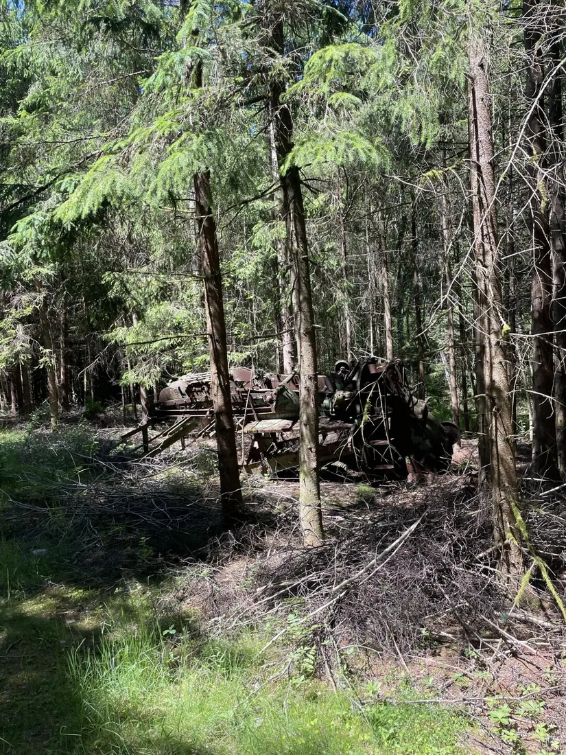 Gård/Skog, Länsmansgatan 23, Sösdala, Hässleholm