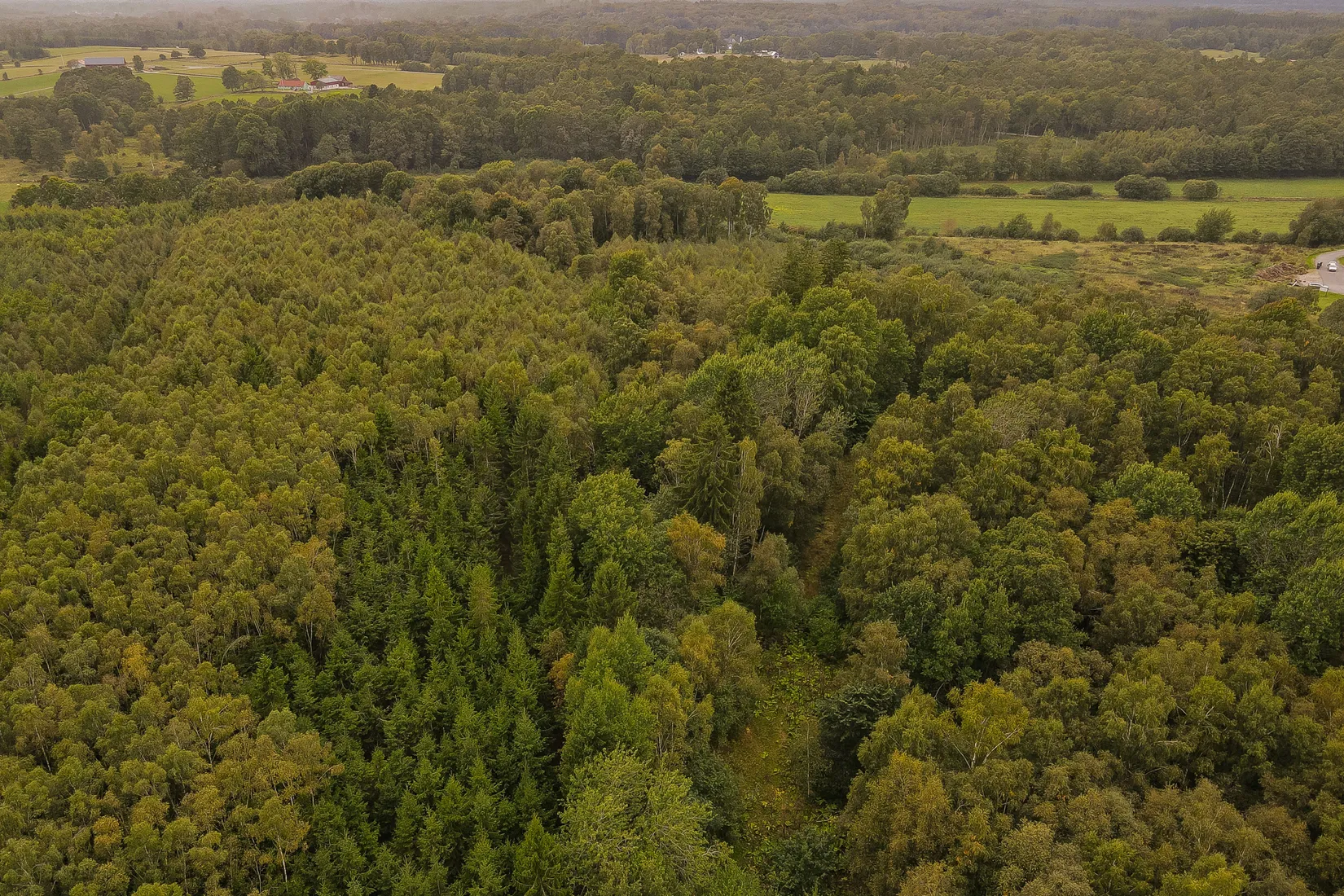Gård/Skog, Länsmansgatan 23, Sösdala, Hässleholm