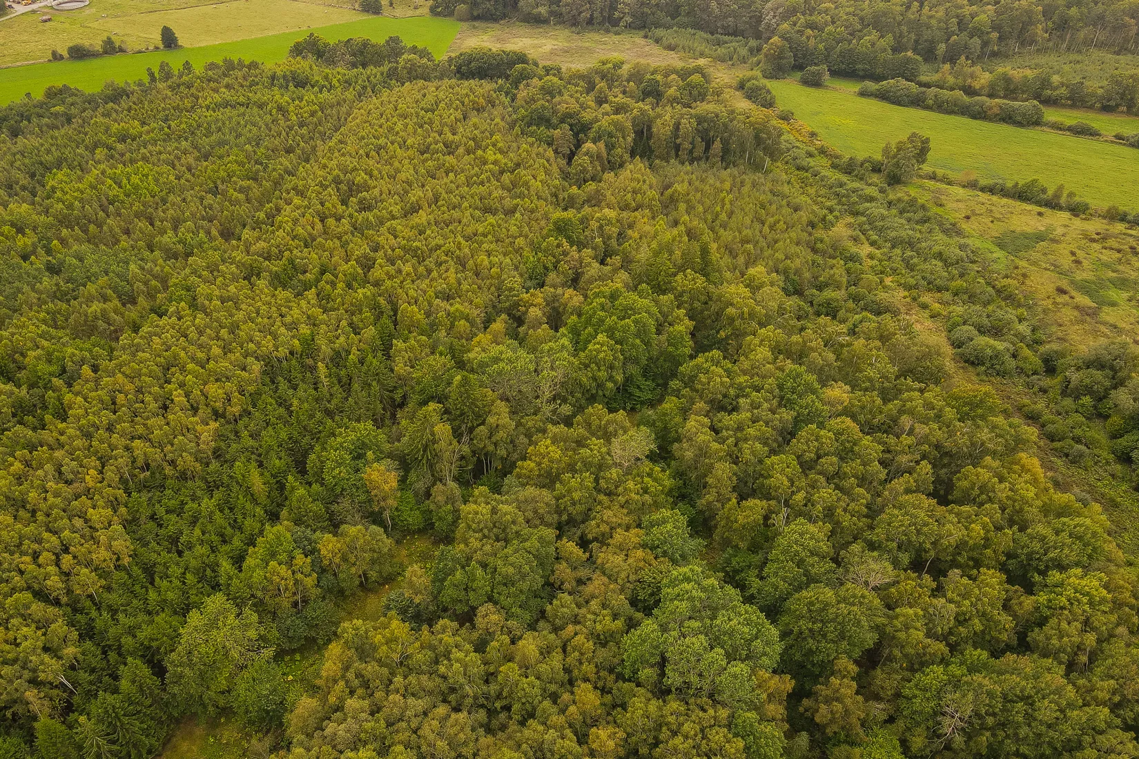Gård/Skog, Länsmansgatan 23, Sösdala, Hässleholm