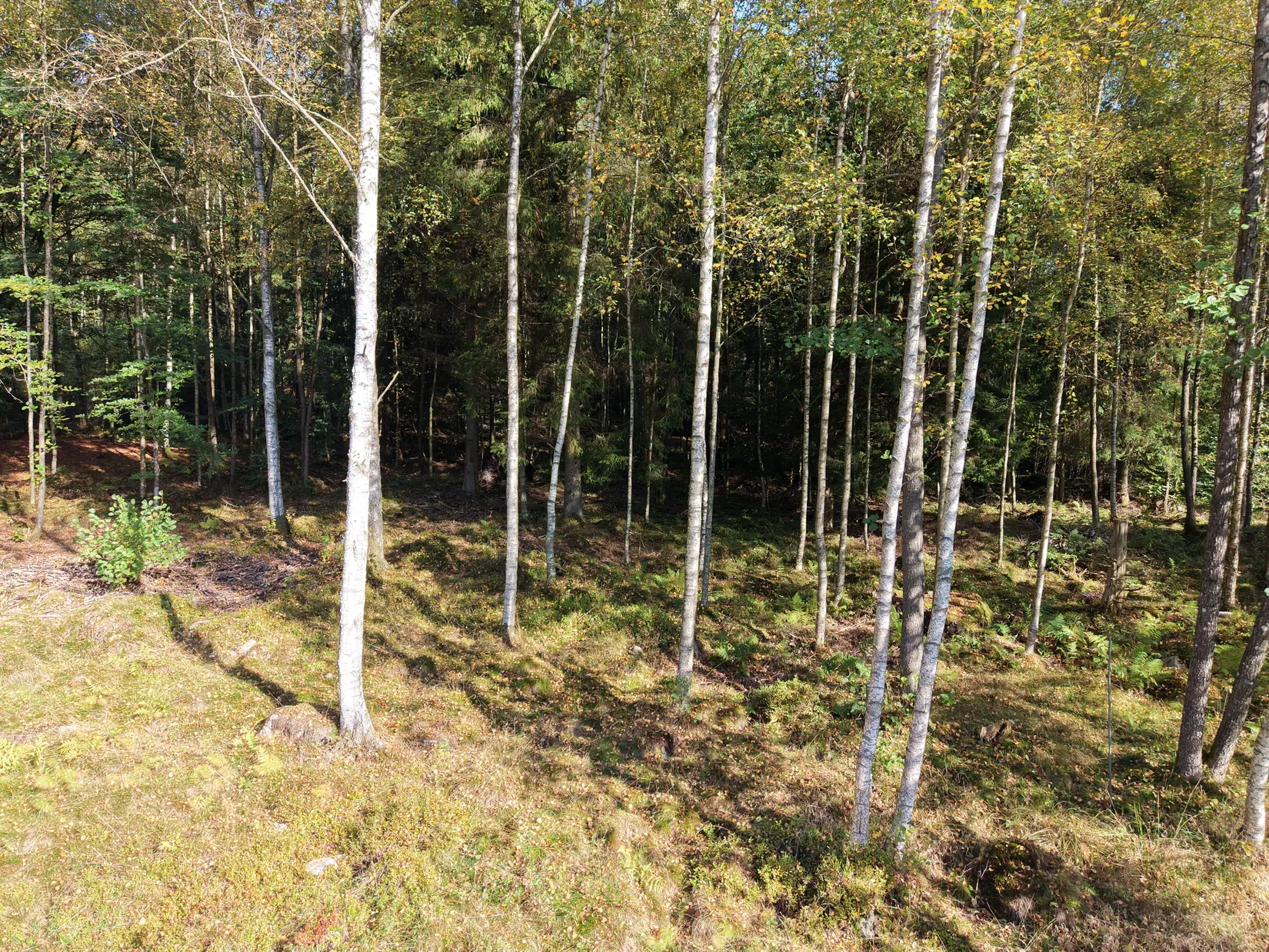 Tomt, Bäverspåret 9, Stavaröd - Sösdala, Hässleholm