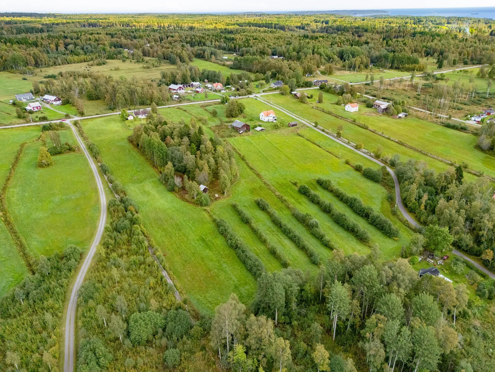 Gård/Skog, Märrgård 254, Söråker, Timrå