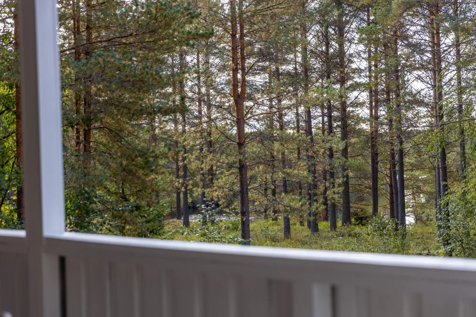 Villa, Mosippevägen 5, Skattungbyn, Orsa
