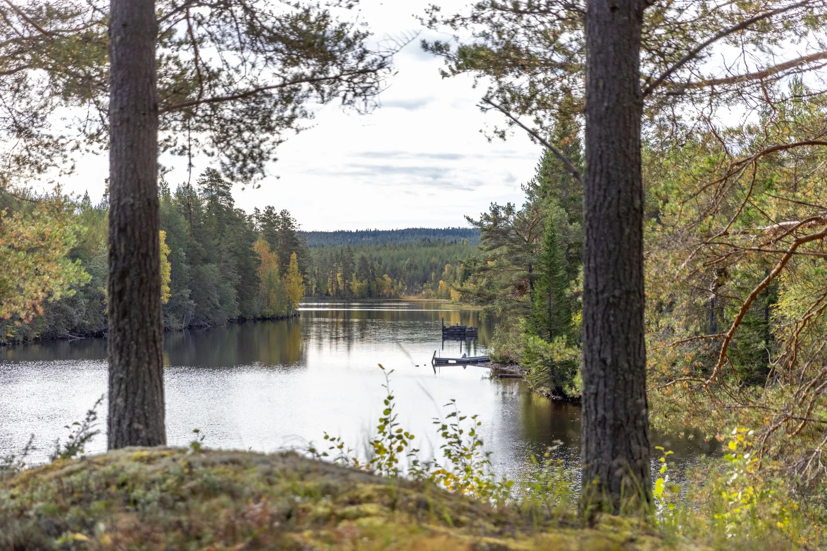 Villa, Mosippevägen 5, Skattungbyn, Orsa