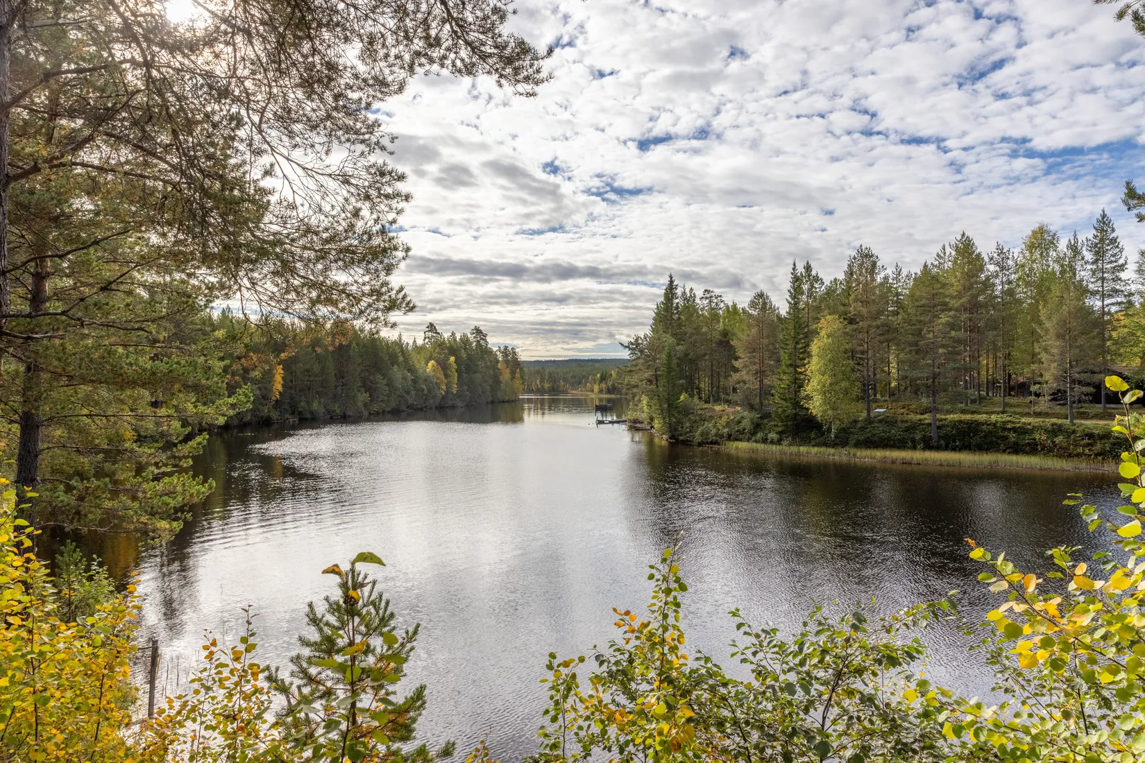 Villa, Mosippevägen 5, Skattungbyn, Orsa