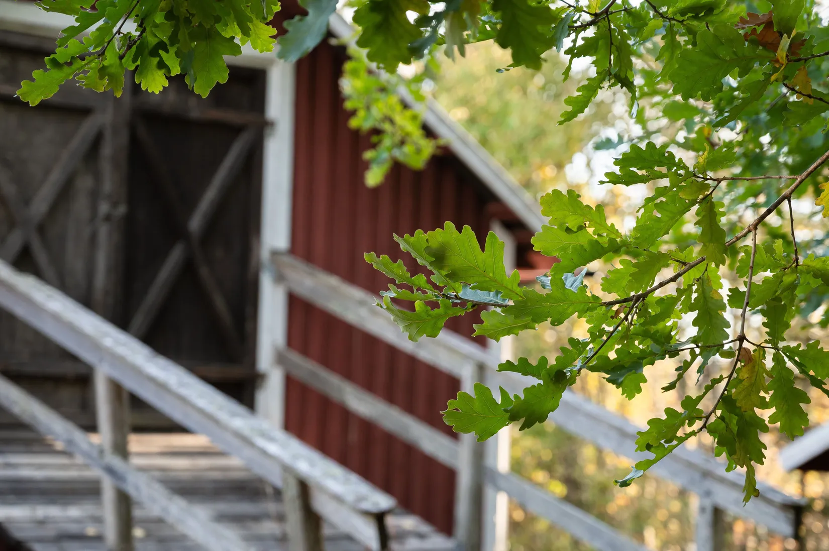 Gård/Skog, Österlo 127, Sundsvall