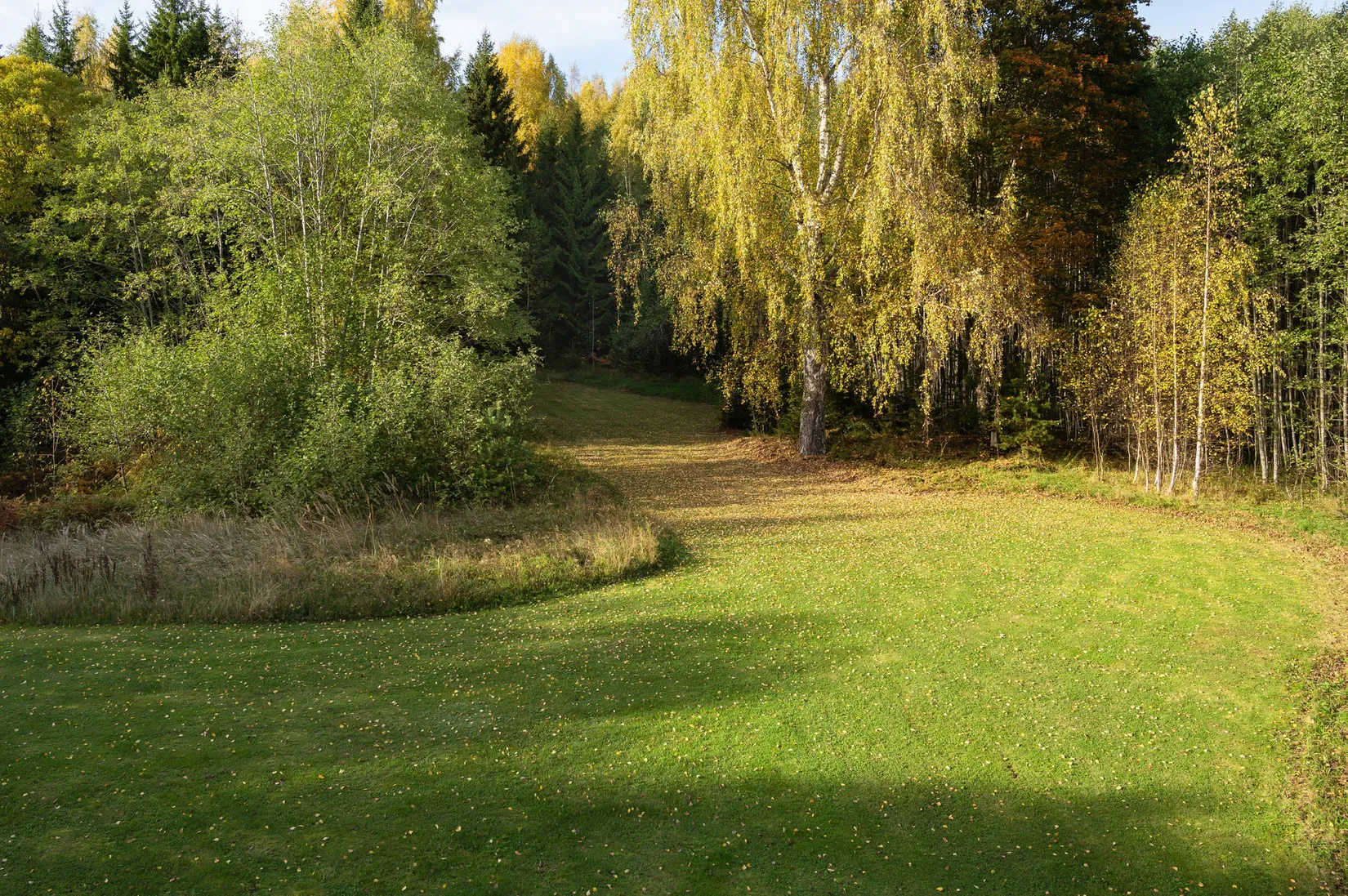Gård/Skog, Österlo 127, Sundsvall