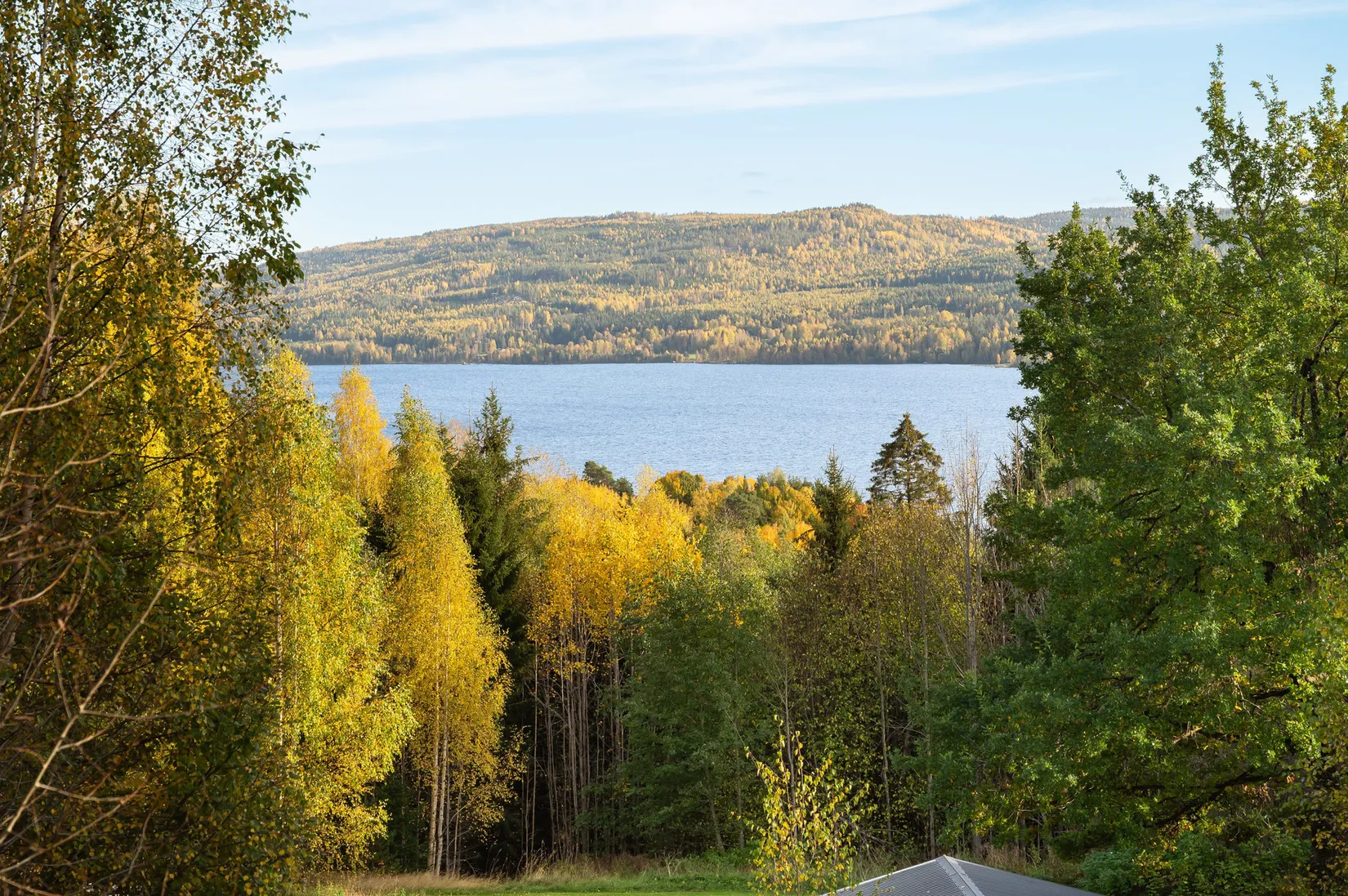 Gård/Skog, Österlo 127, Sundsvall