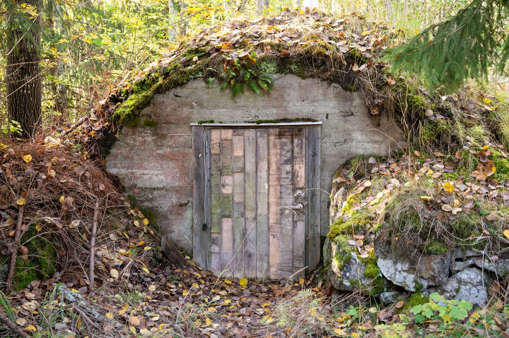 Gård/Skog, Österlo 127, Sundsvall