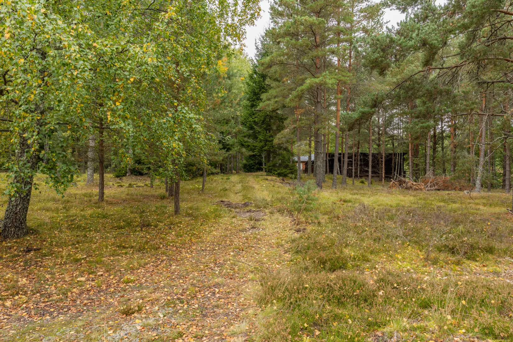 Tomt, Nätebäcken SÅGEN 1, Nätebäcken, Habo