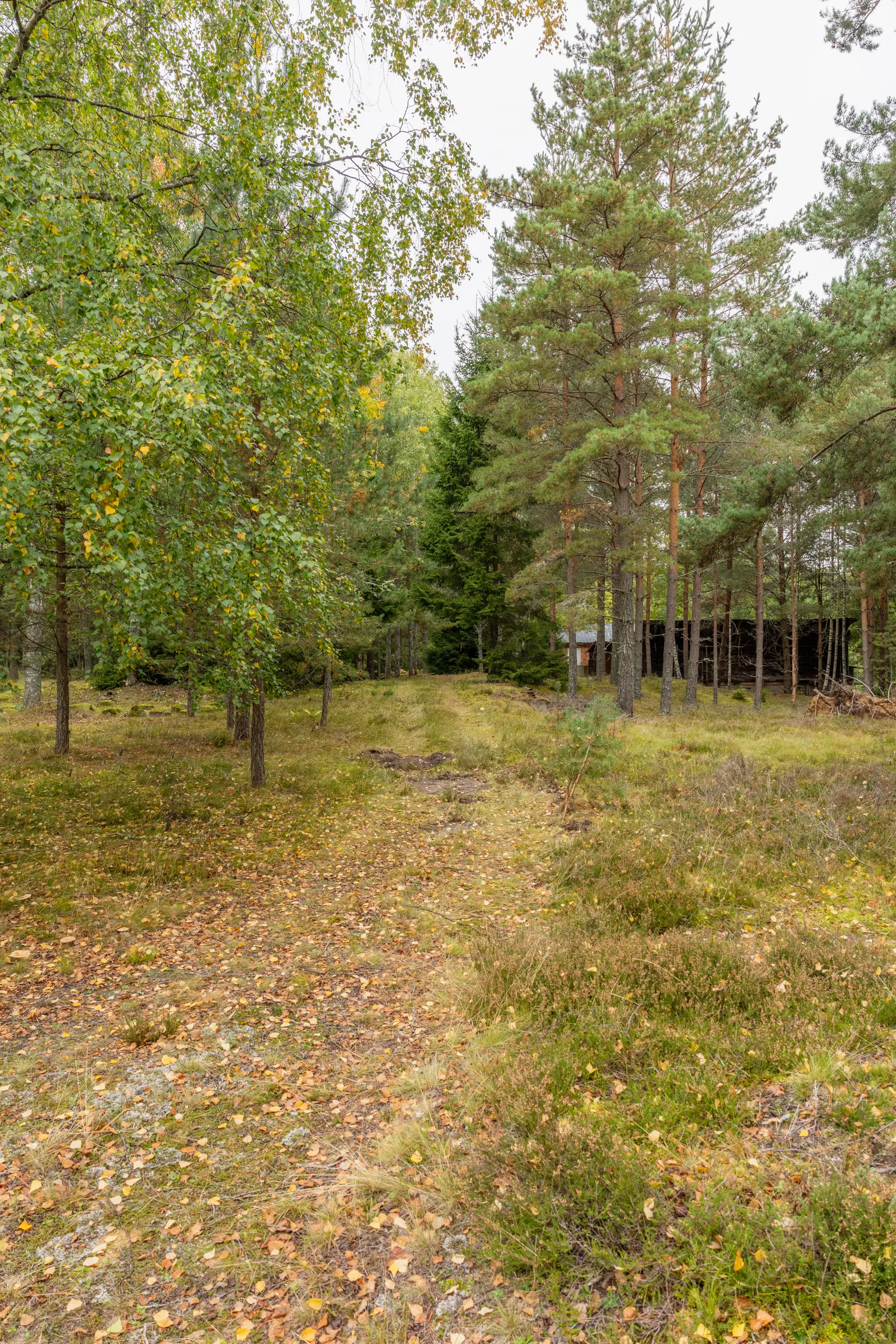 Tomt, Nätebäcken SÅGEN 1, Nätebäcken, Habo