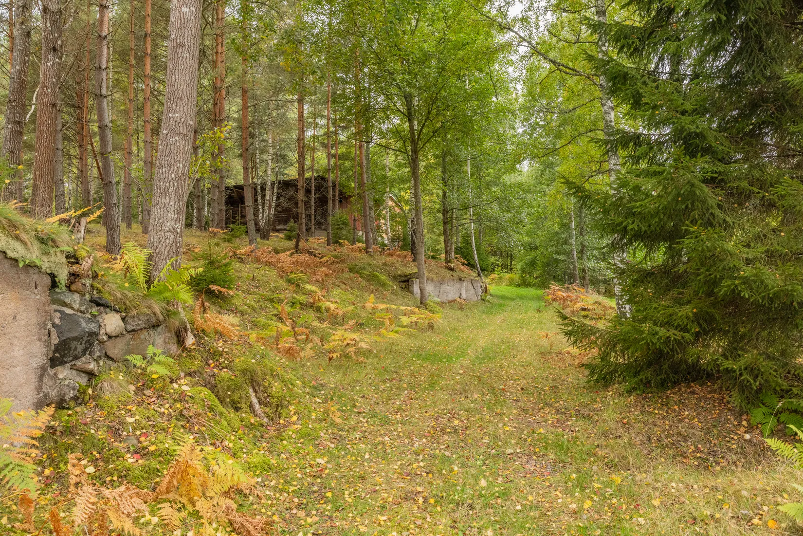 Tomt, Nätebäcken SÅGEN 1, Nätebäcken, Habo