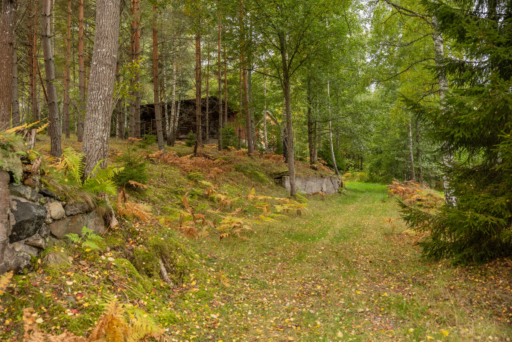 Tomt, Nätebäcken SÅGEN 1, Nätebäcken, Habo