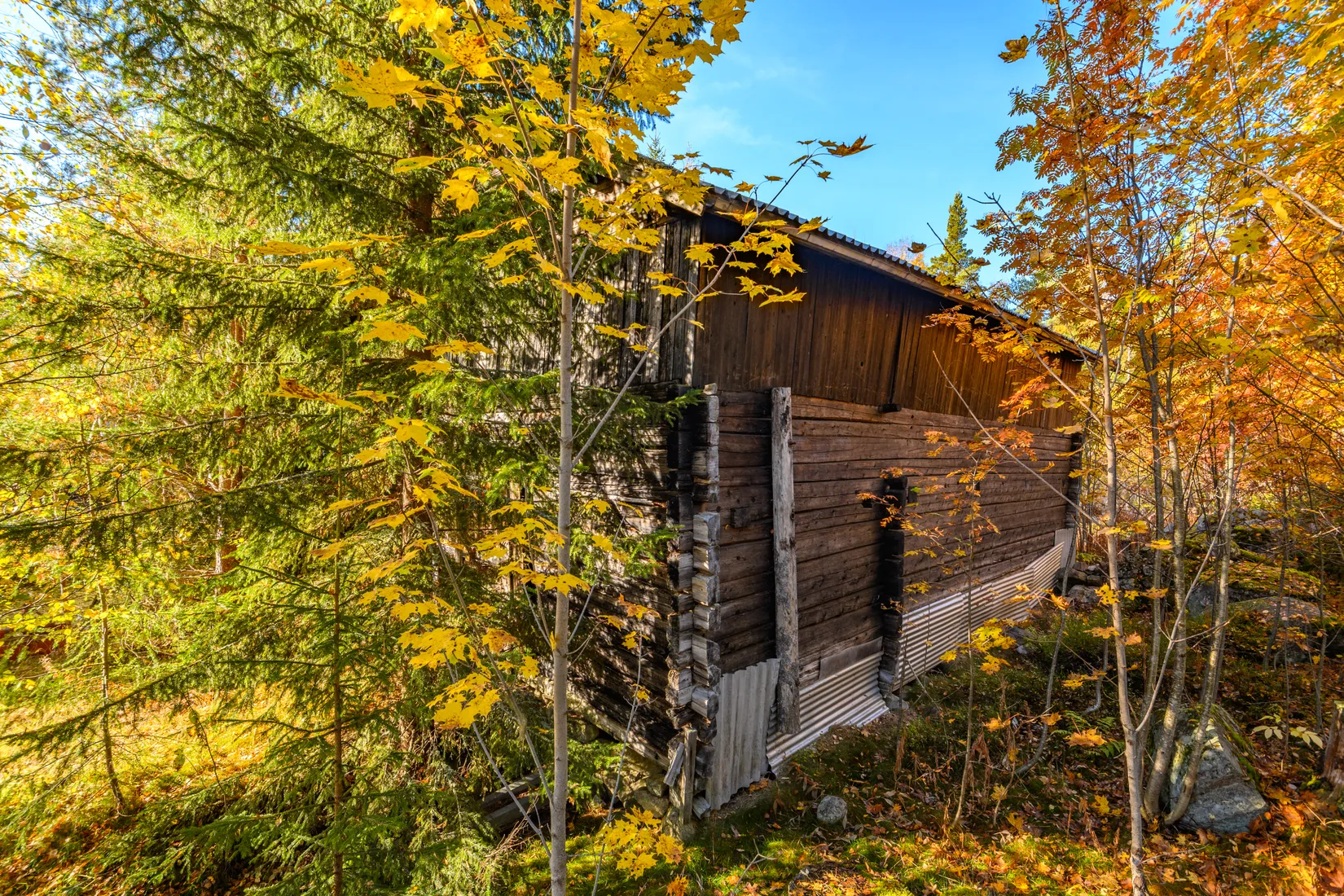 Gård/Skog,  Norrgården 309, Nordanstig