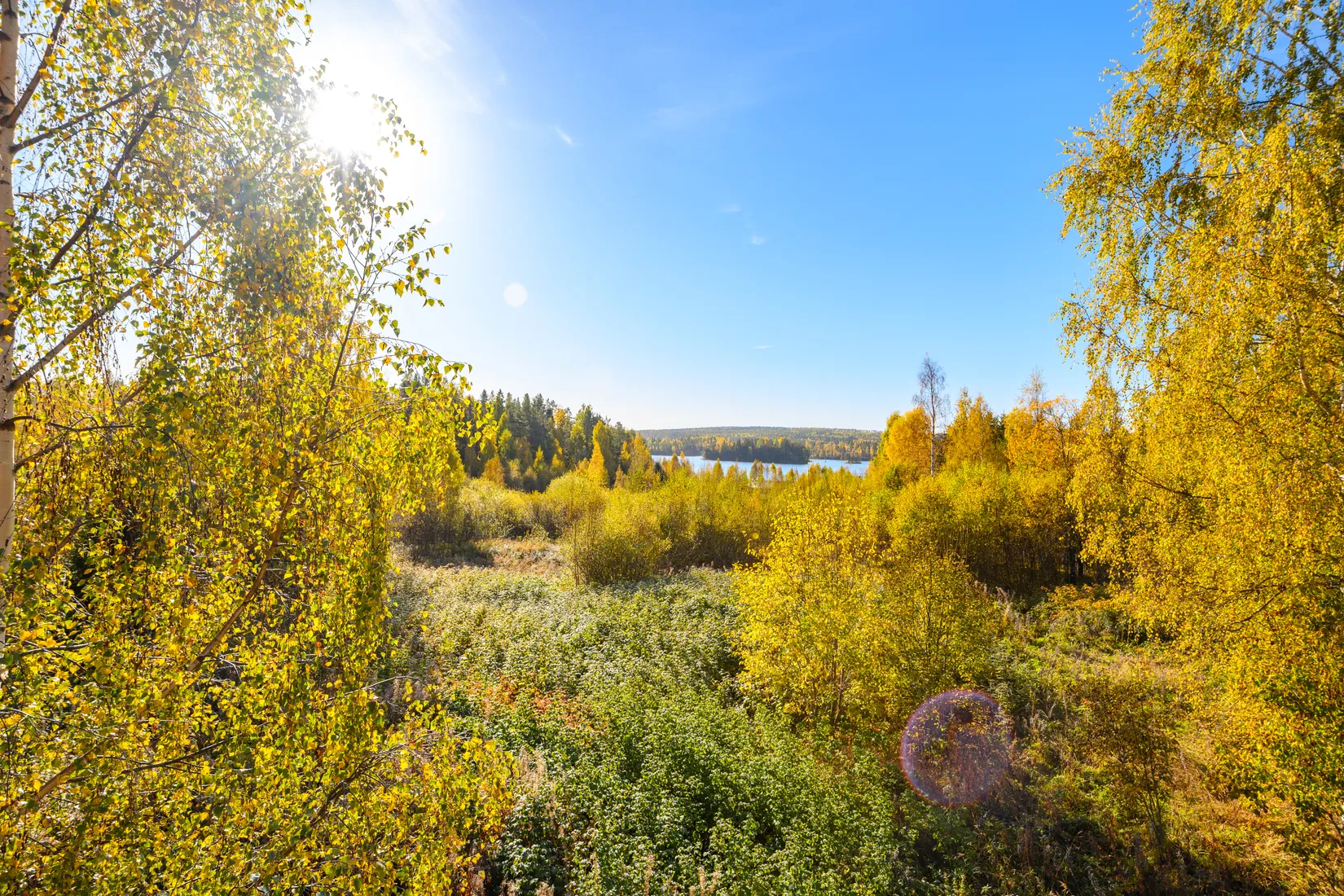 Gård/Skog,  Norrgården 309, Nordanstig