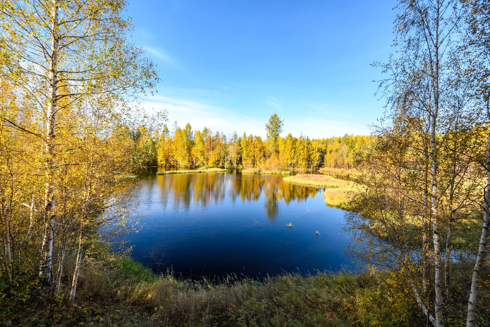 Gård/Skog,  Norrgården 309, Nordanstig