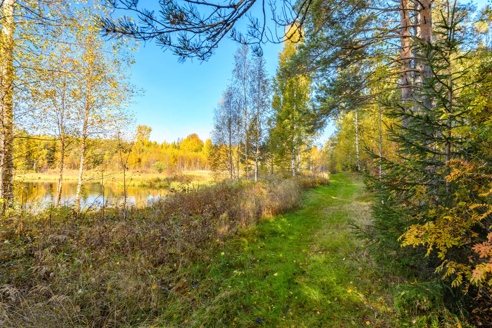 Gård/Skog,  Norrgården 309, Nordanstig